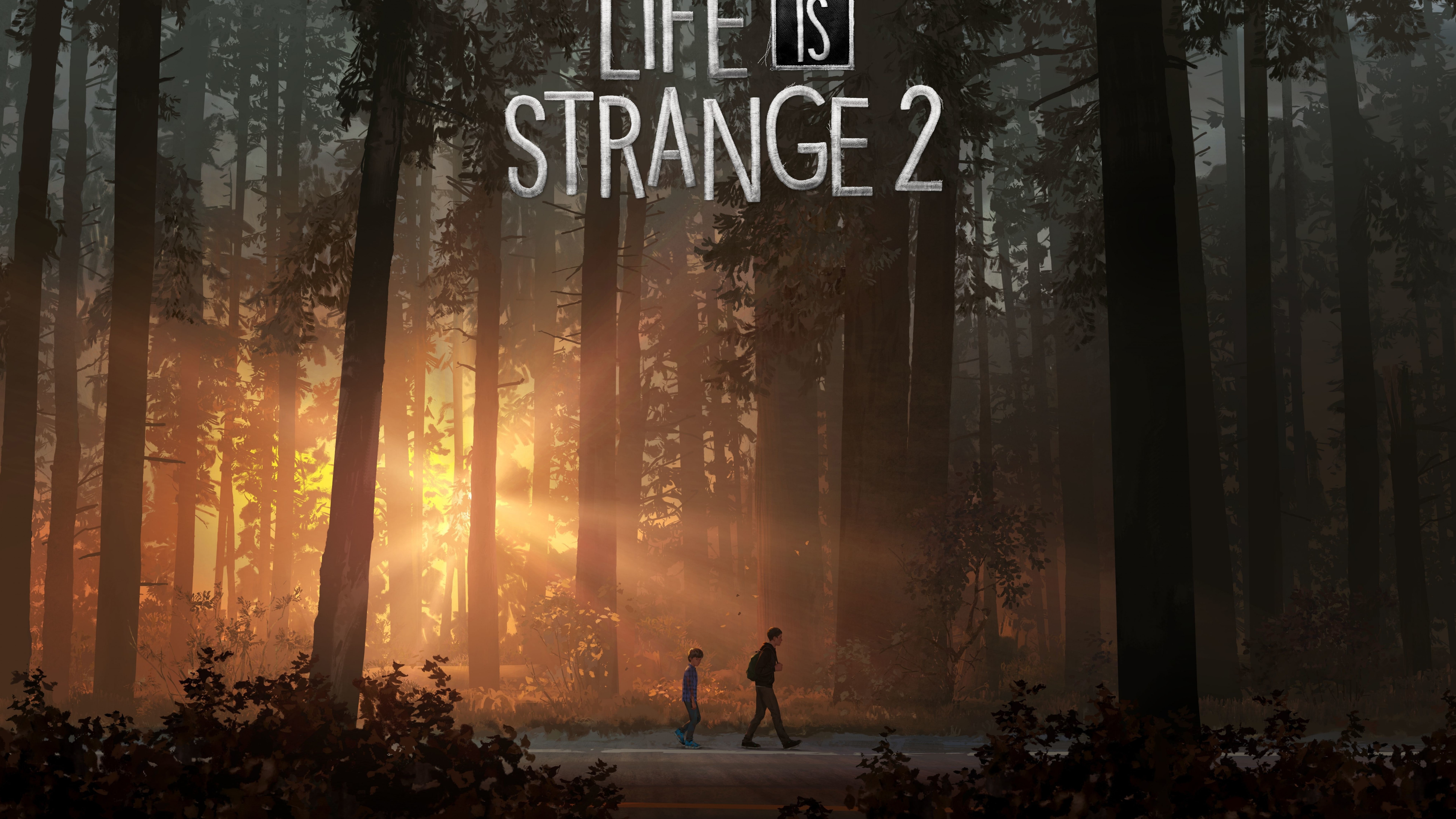 8K, Gamescom 2018, 7K, Life is Strange 2, poster, HD Wallpaper