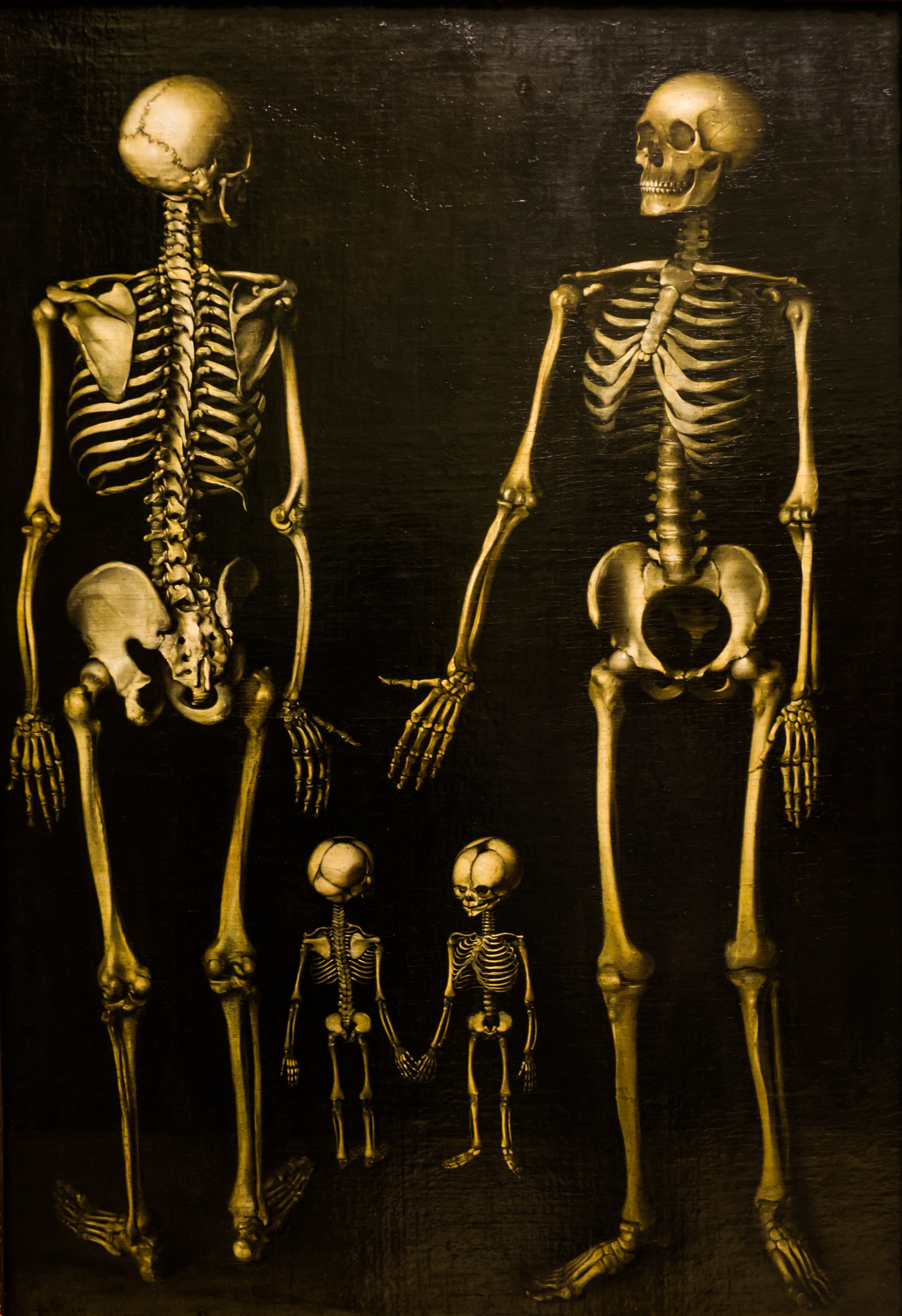 human body part, the past, family, human skull, death, destruction, war, spooky, human, skeletons, bones, 2K, plague, fear, painting, bone, antique, architecture, Phone HD Wallpaper