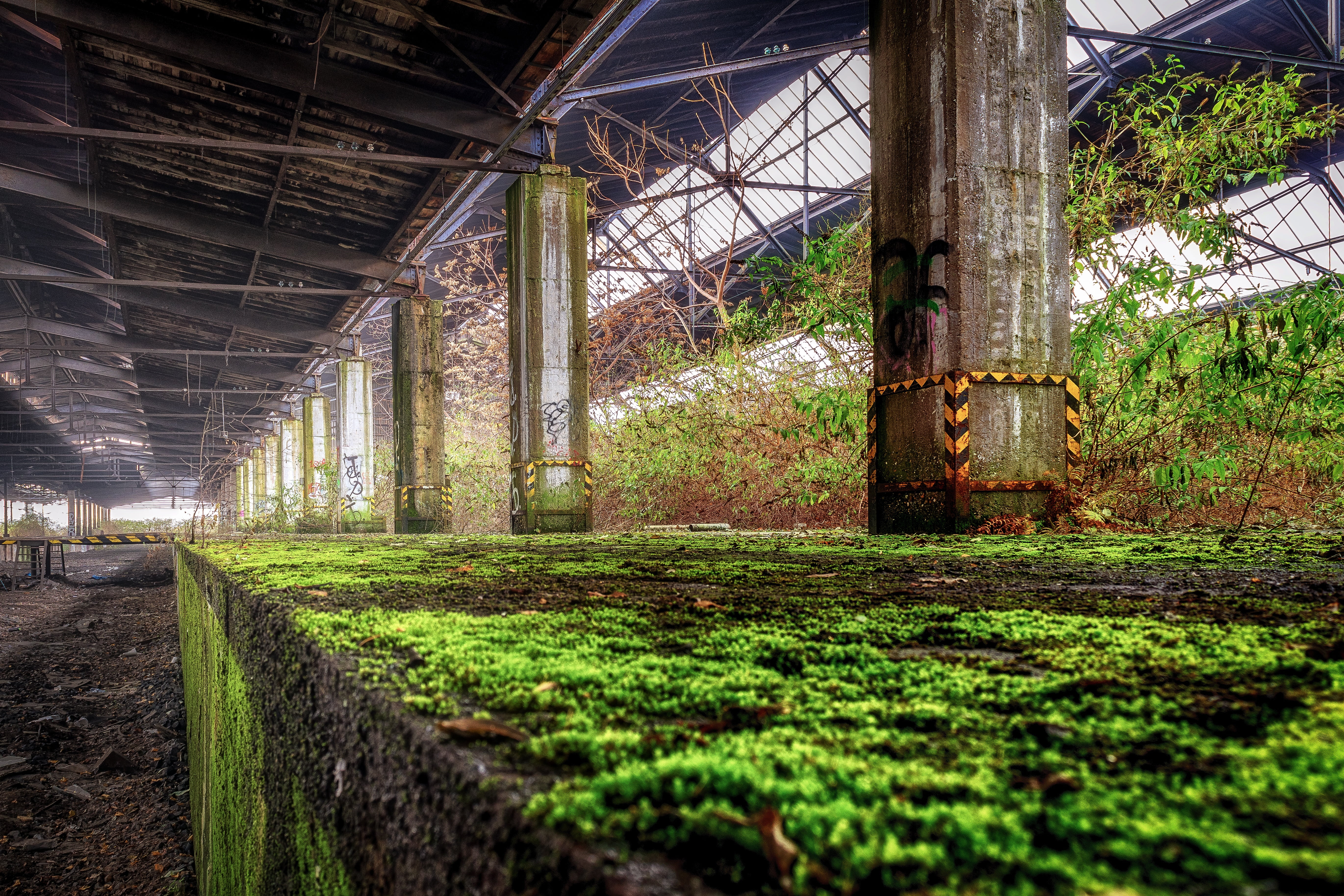 post, 5K, platform, grass, moss, growth, surface level, rural scene, beside, architecture, edge, ruin, greenhouse, atmosphere, hall, railway station, weathered, HD Wallpaper