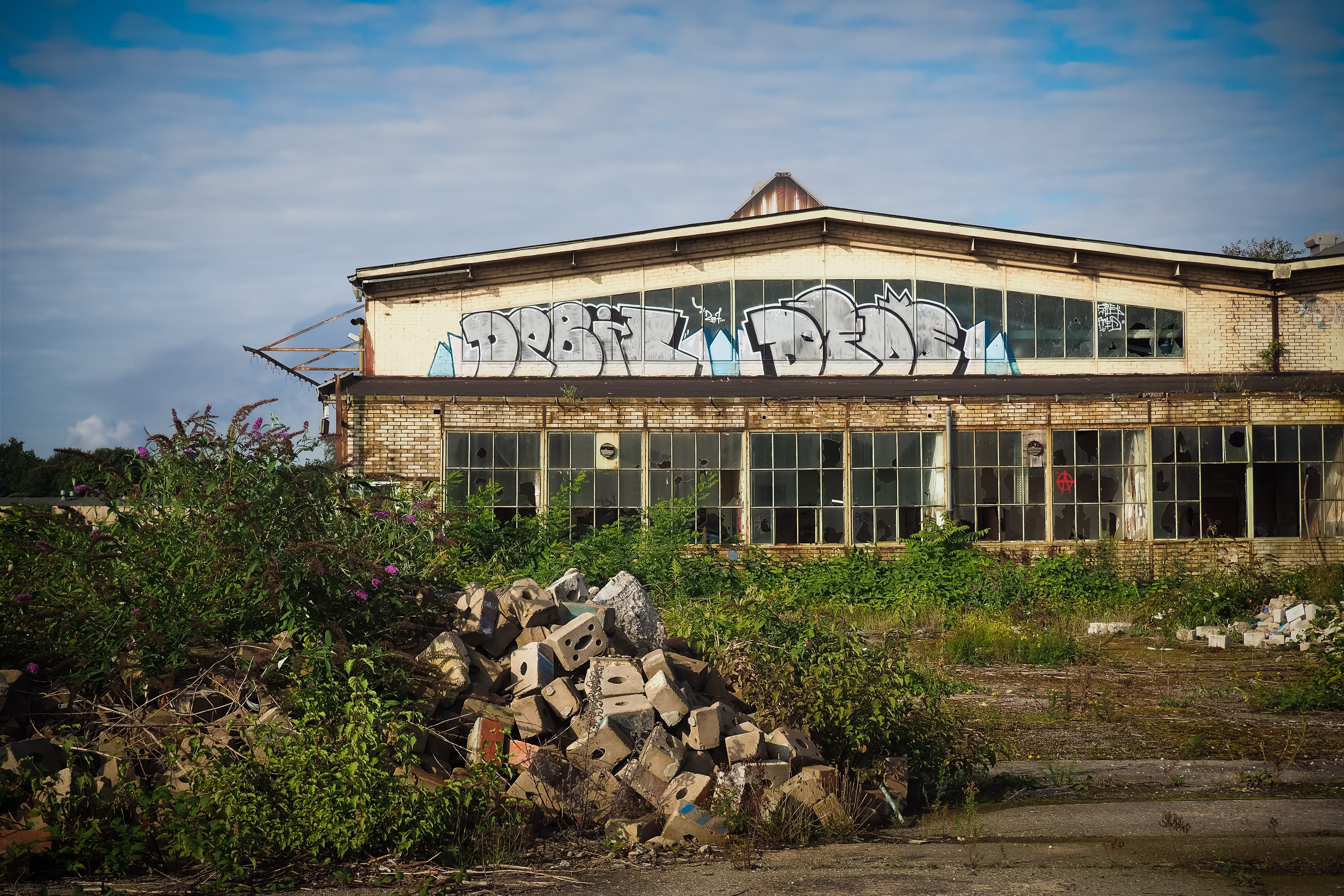past, ruin, abandoned, train hall, cloud - sky, stainless, window, tree, old factory hall, void hall, goods station, plant, communication, pforphoto, built structure, HD Wallpaper