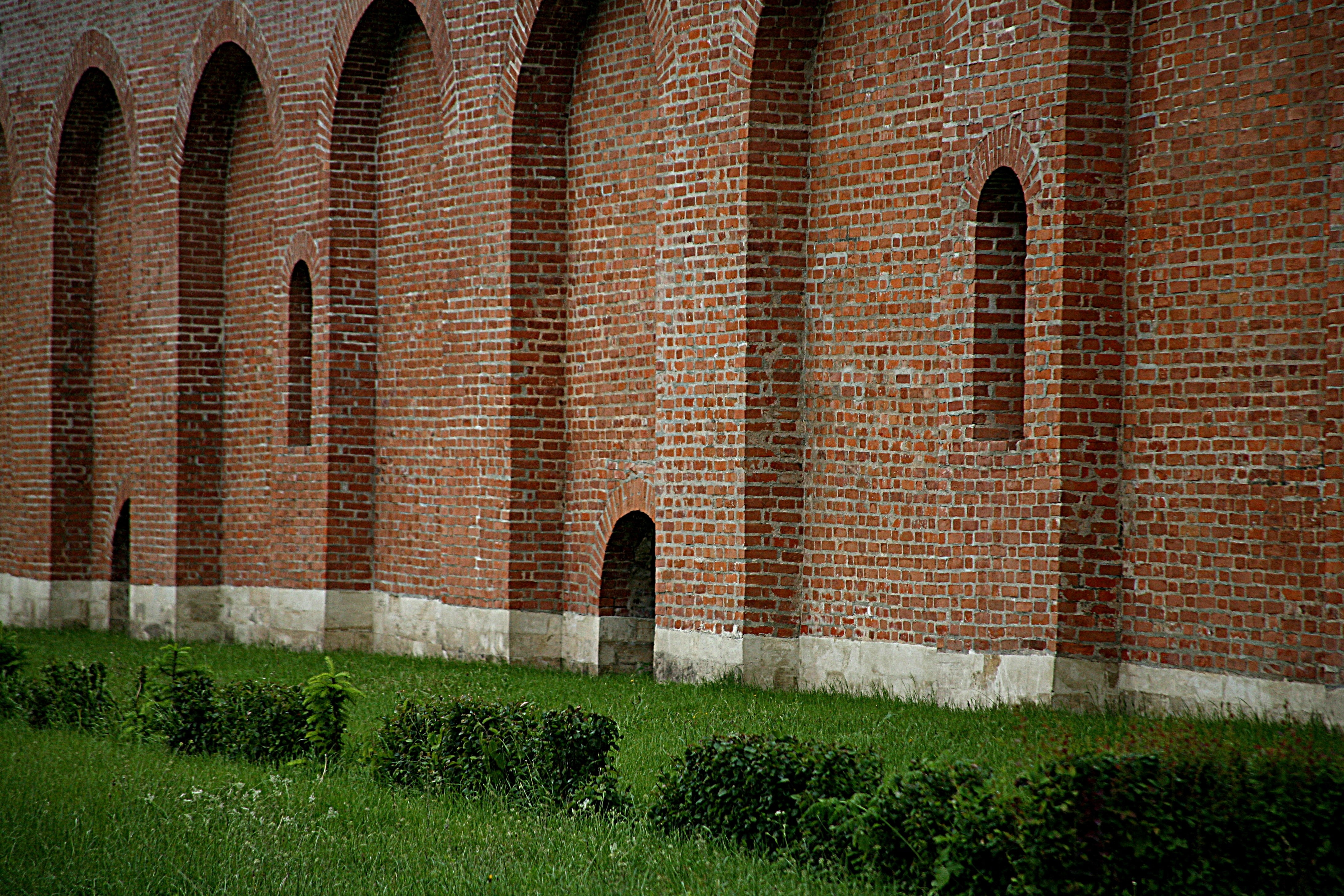 building exterior, growth, arch, 4K, history, brick, Fortress wall, built structure, nature, wall, brick wall, plant, day, City, Smolensk, grass, architecture, HD Wallpaper