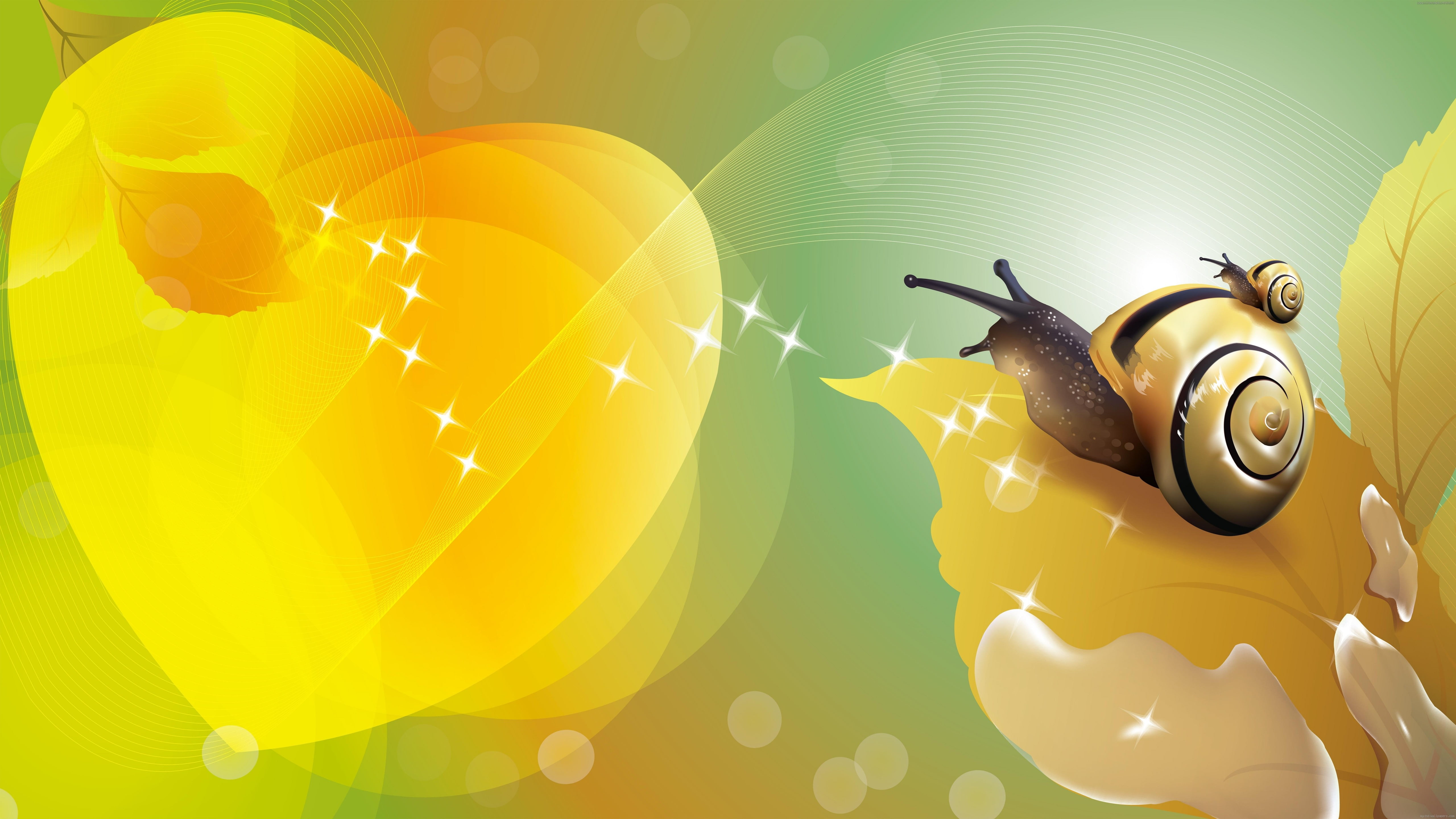 snail, 5K, HD Wallpaper