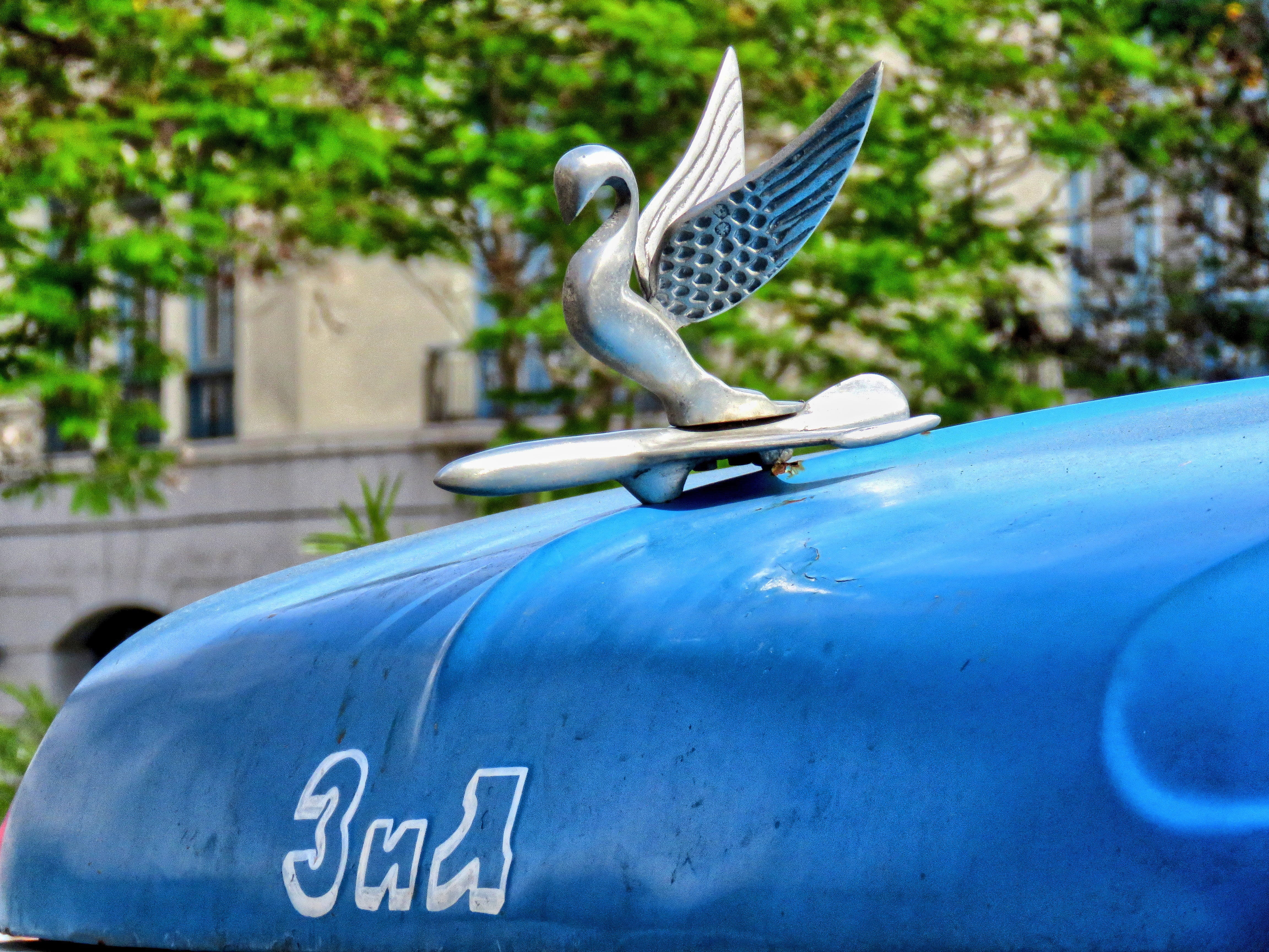 nature, animal, sculpture, communication, detail of, old cars, zil, day, auto, art and craft, no people, car, mode of transportation, focus on foreground, HD Wallpaper