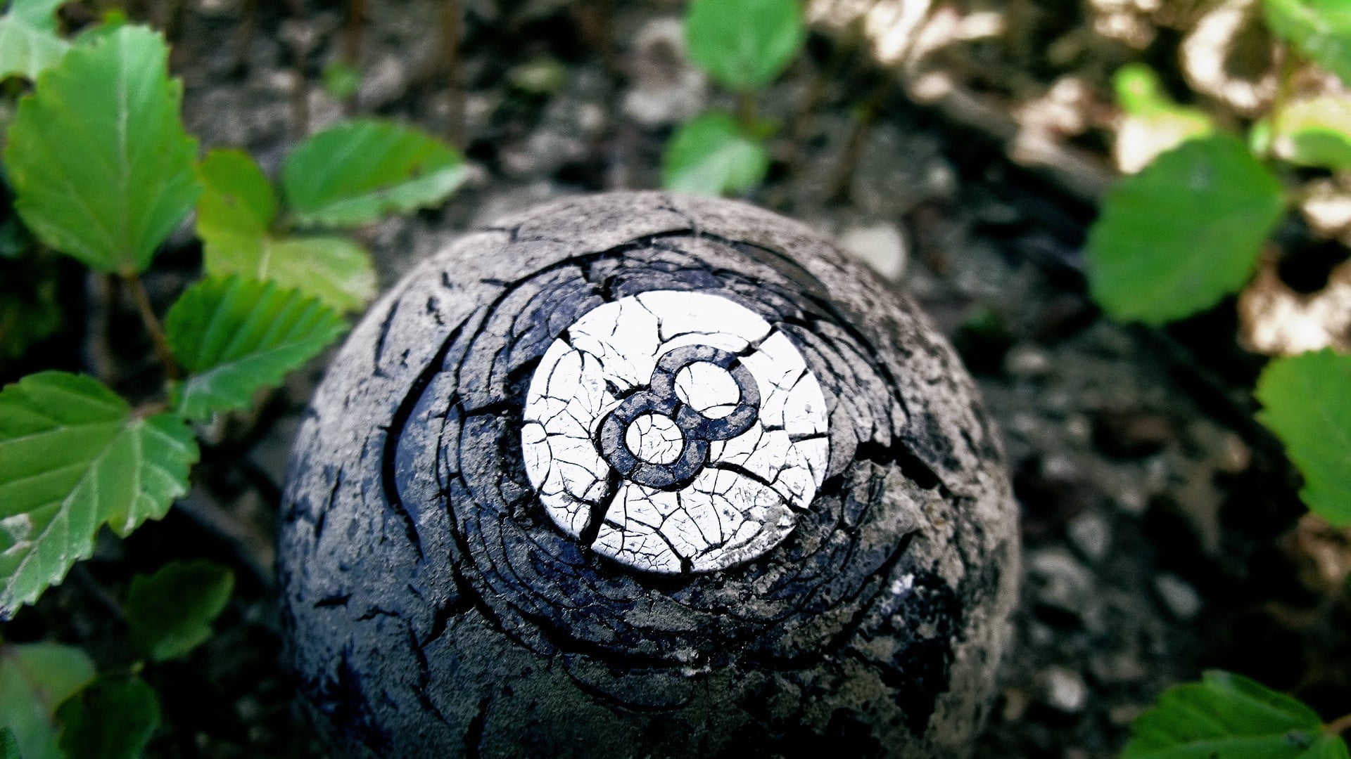 metal, land, white, trunk, black, plant, focus on foreground, 1080P, textured, tree, tool, high angle view, selective focus, pattern, day, leaf, outdoors, HD Wallpaper