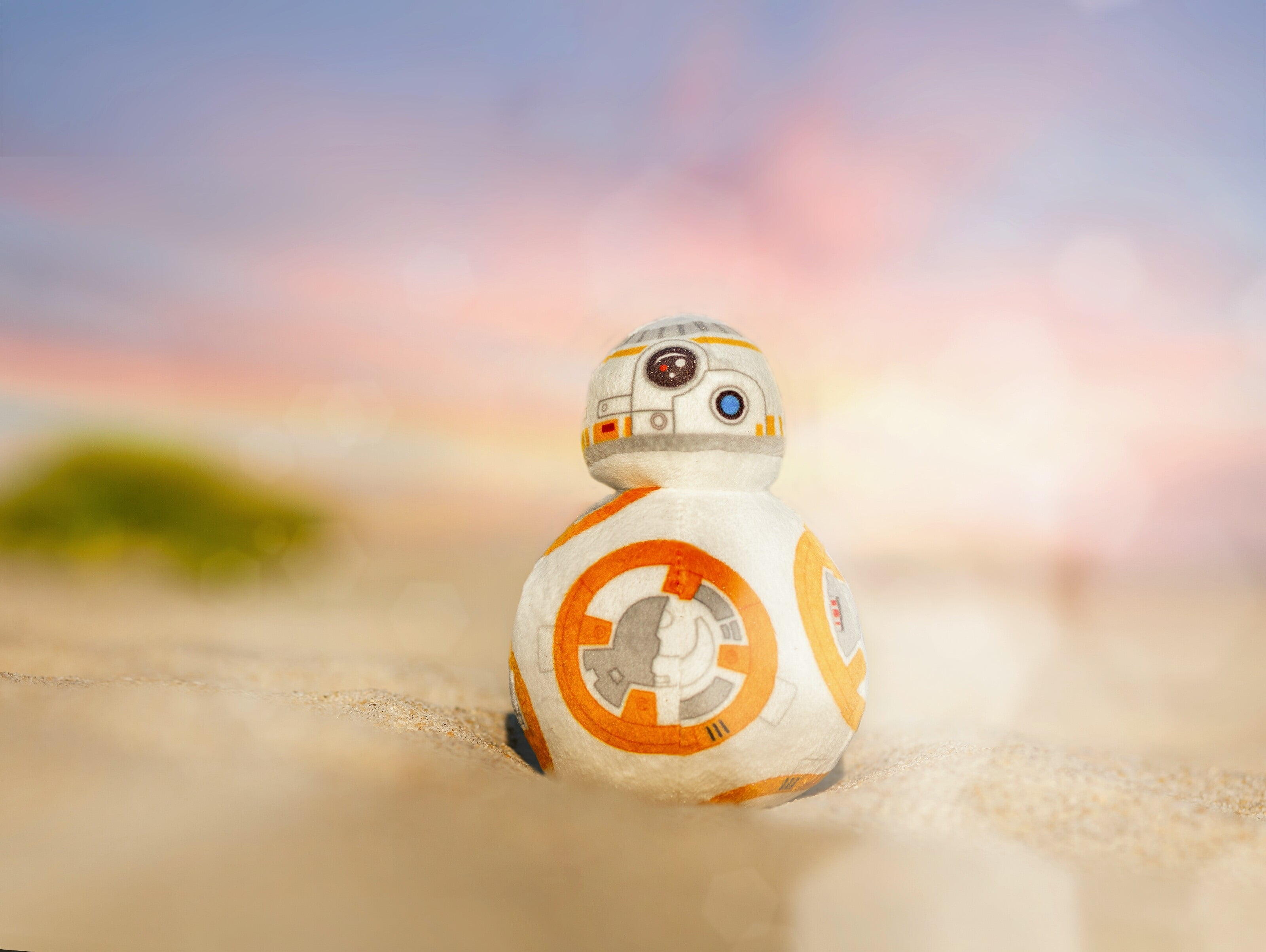 selective focus, close-up, outdoors, sand, representation, sky, beach, focus on foreground, no people, animal, creativity, land, movie characters, Star Wars, HD Wallpaper