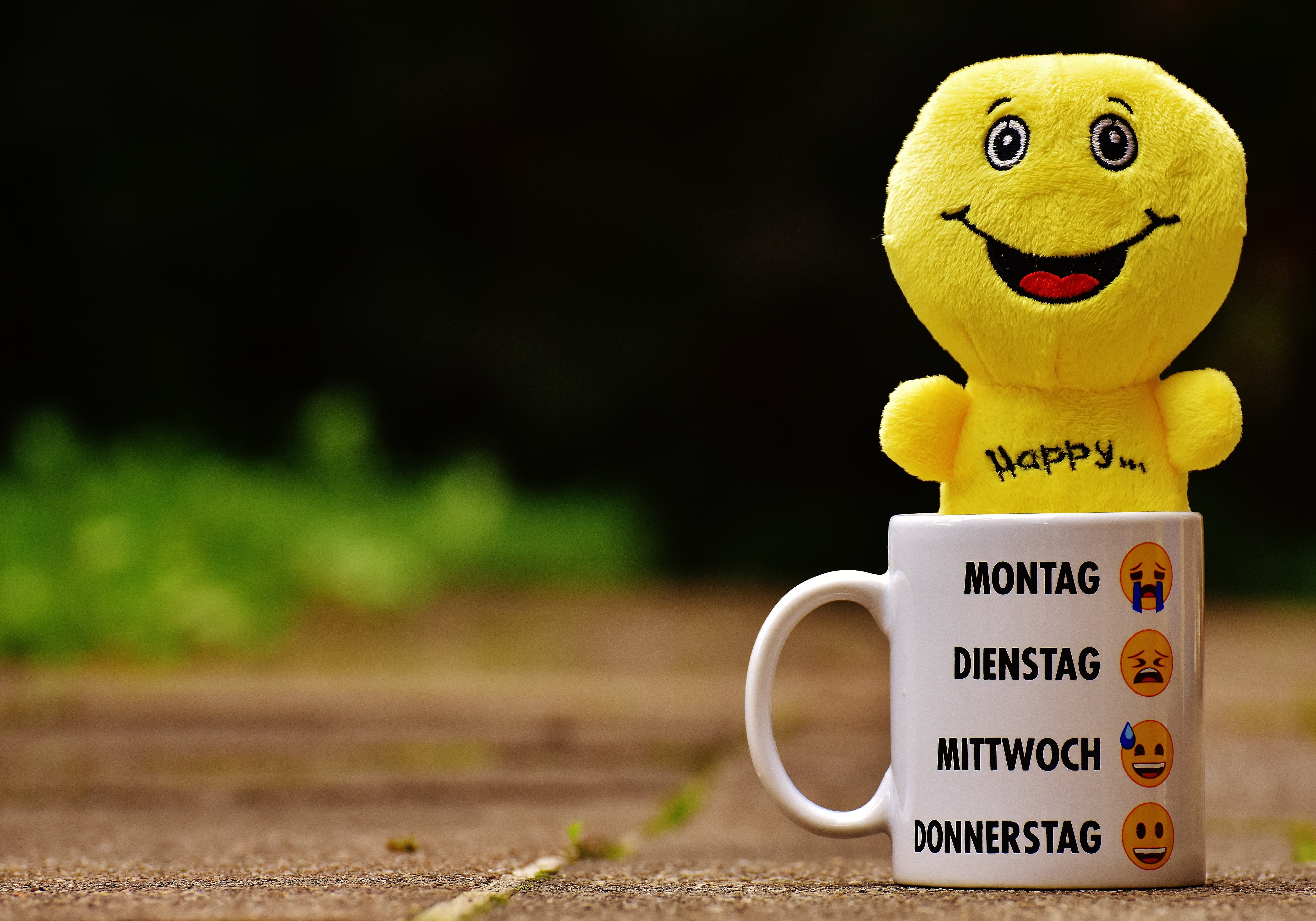 feeling, laugh, floor, cheerful, cup, emotions, fun, 5K, smiley, stuffed toy, text, smiling, smilies, smile, ceramic, face, mug, funny, land, close-up, HD Wallpaper
