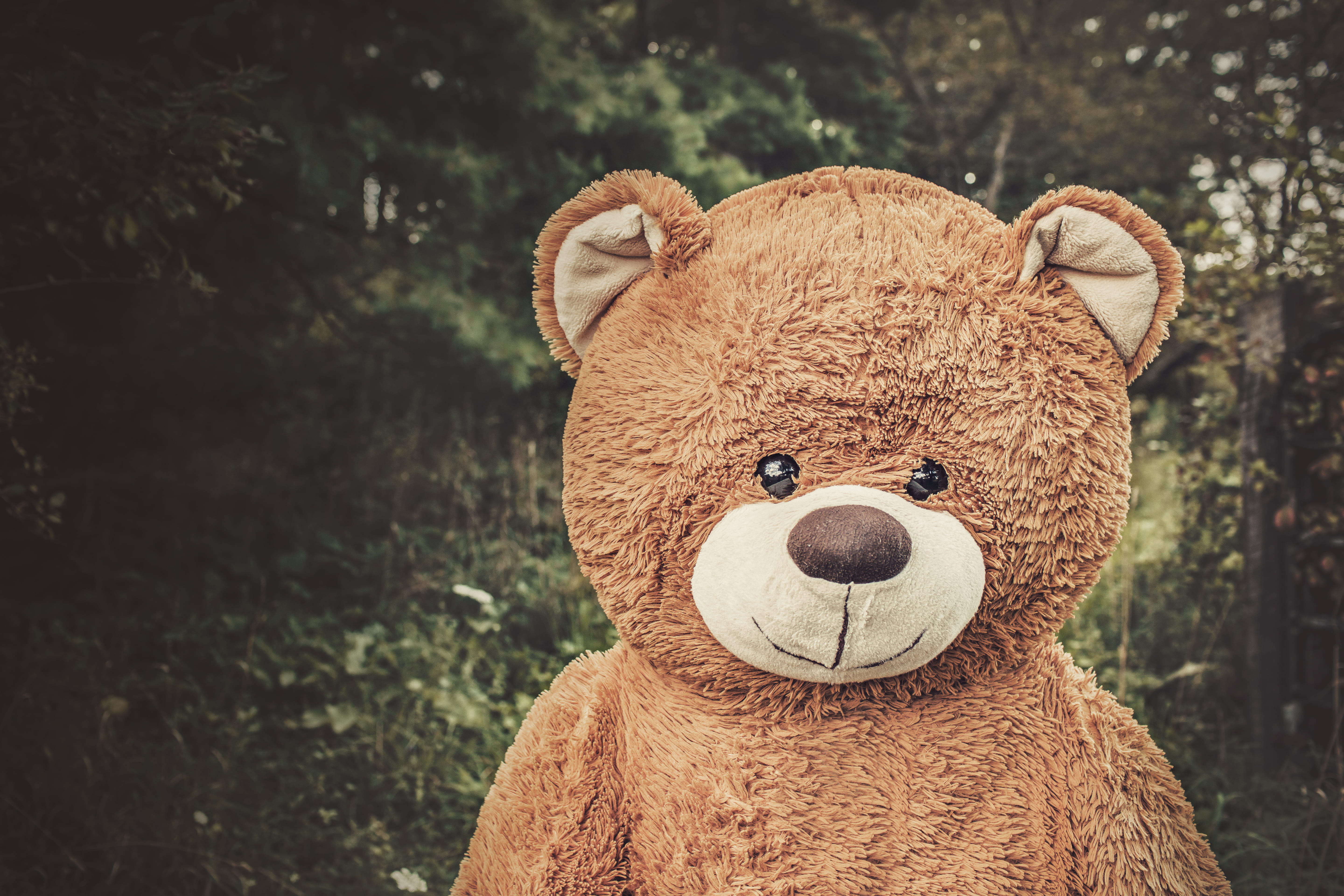 livestock, animal themes, wildlife, toy, stuffed toy, child, plush, animal, fun, life-size, size, life, plush toy, day, love, brown, animal representation, HD Wallpaper