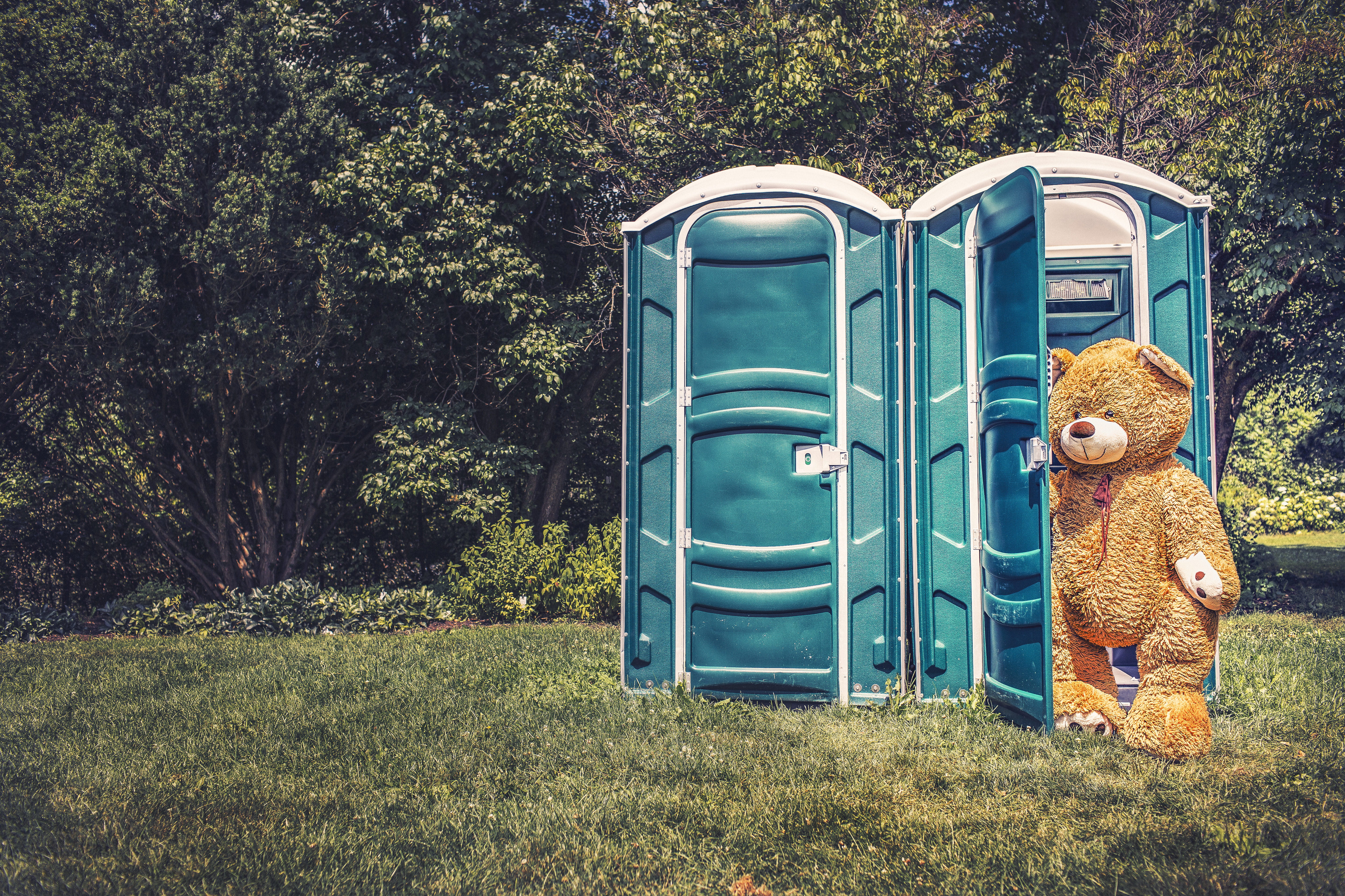 lazy, plush, real people, field, summer, mascot, silly, plant, stuffed toy, animal, 5K, blue, near, dog, brown bear, no People, cute, restrooms, humor, HD Wallpaper