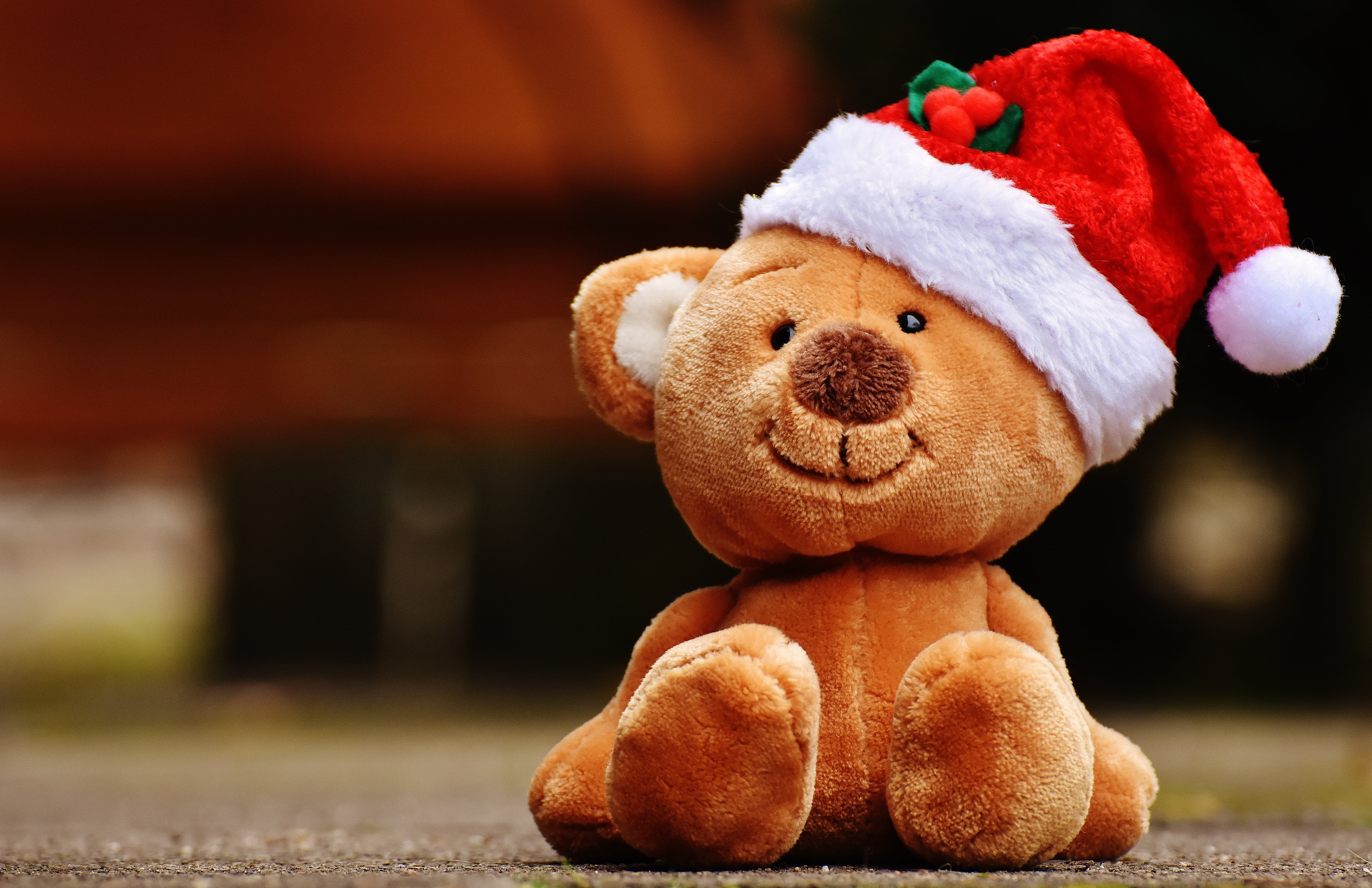 concrete, close-up, white, animal representation, teddy bear, brown, holiday, childhood, small, hat, focus, day, photo, animal themes, christmas, cute, HD Wallpaper