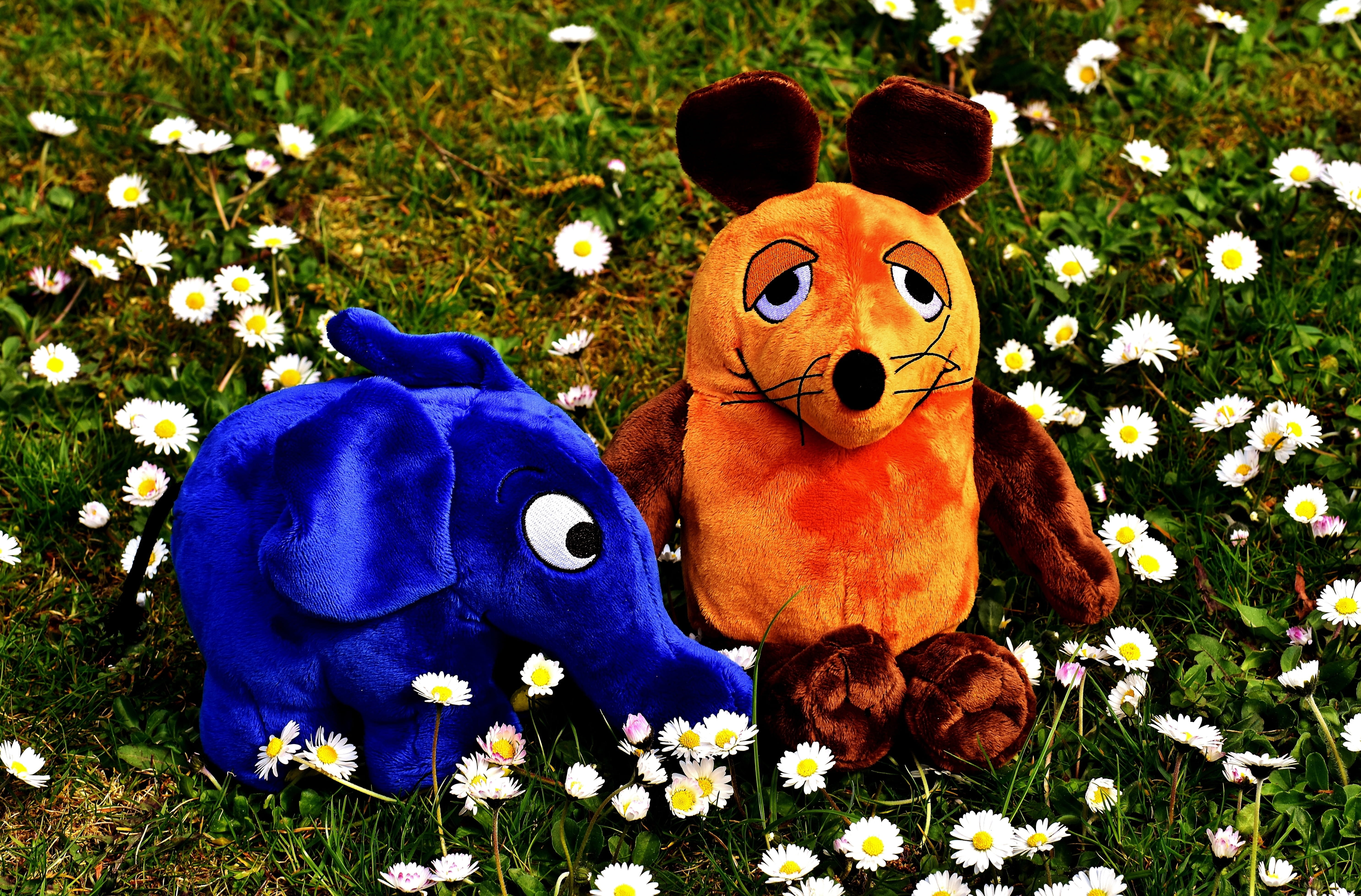 purple, orange, plant, representation, field, flower, stuffed toy, close-up, stuffed animal, grass, cute, 5K, broadcast with the mouse, funny, mammal, HD Wallpaper