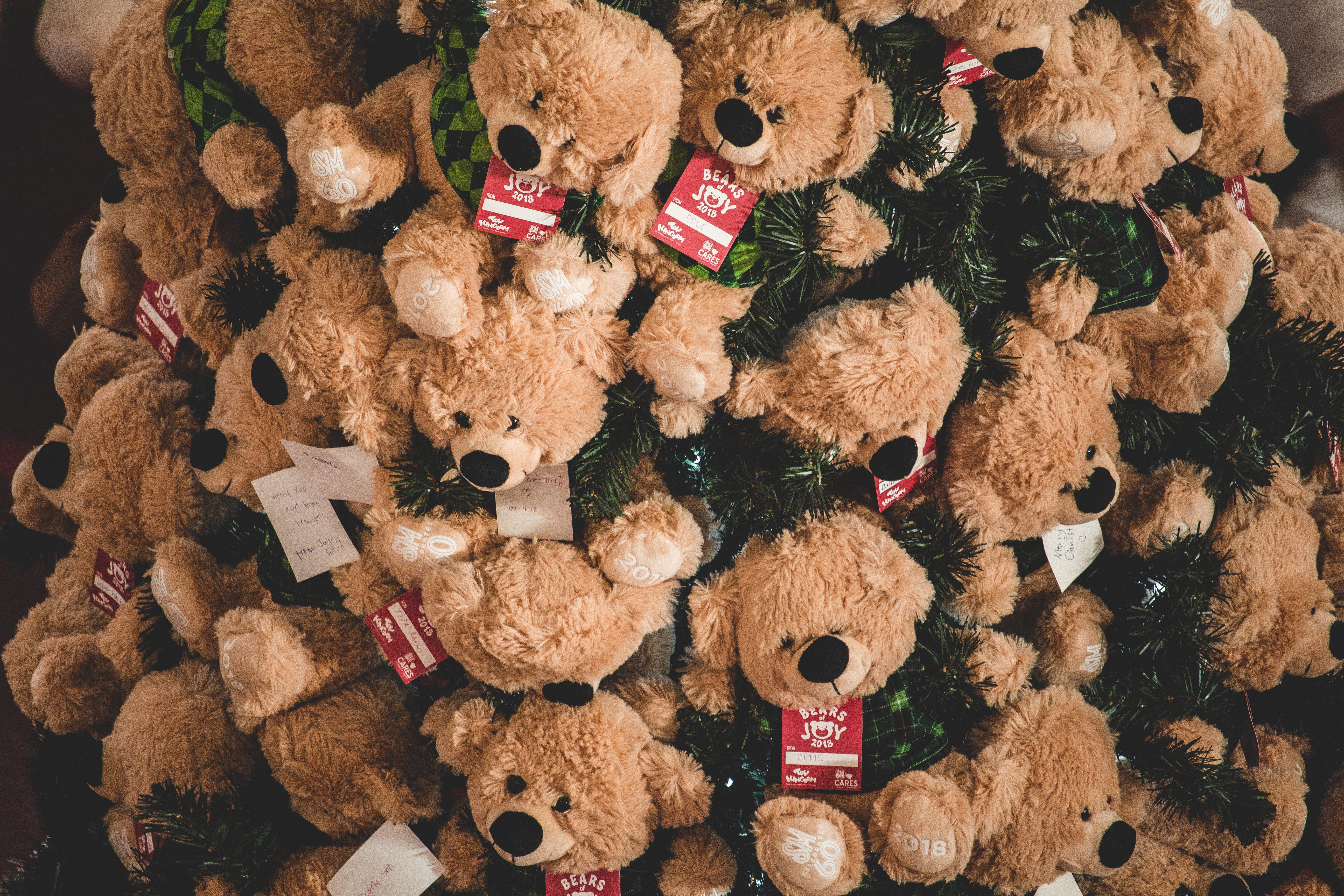 bear, adorable, lot, plush, full frame, brown, abundance, close, large group of objects, many, christmas, representation, stuffed toy, indoors, little, HD Wallpaper