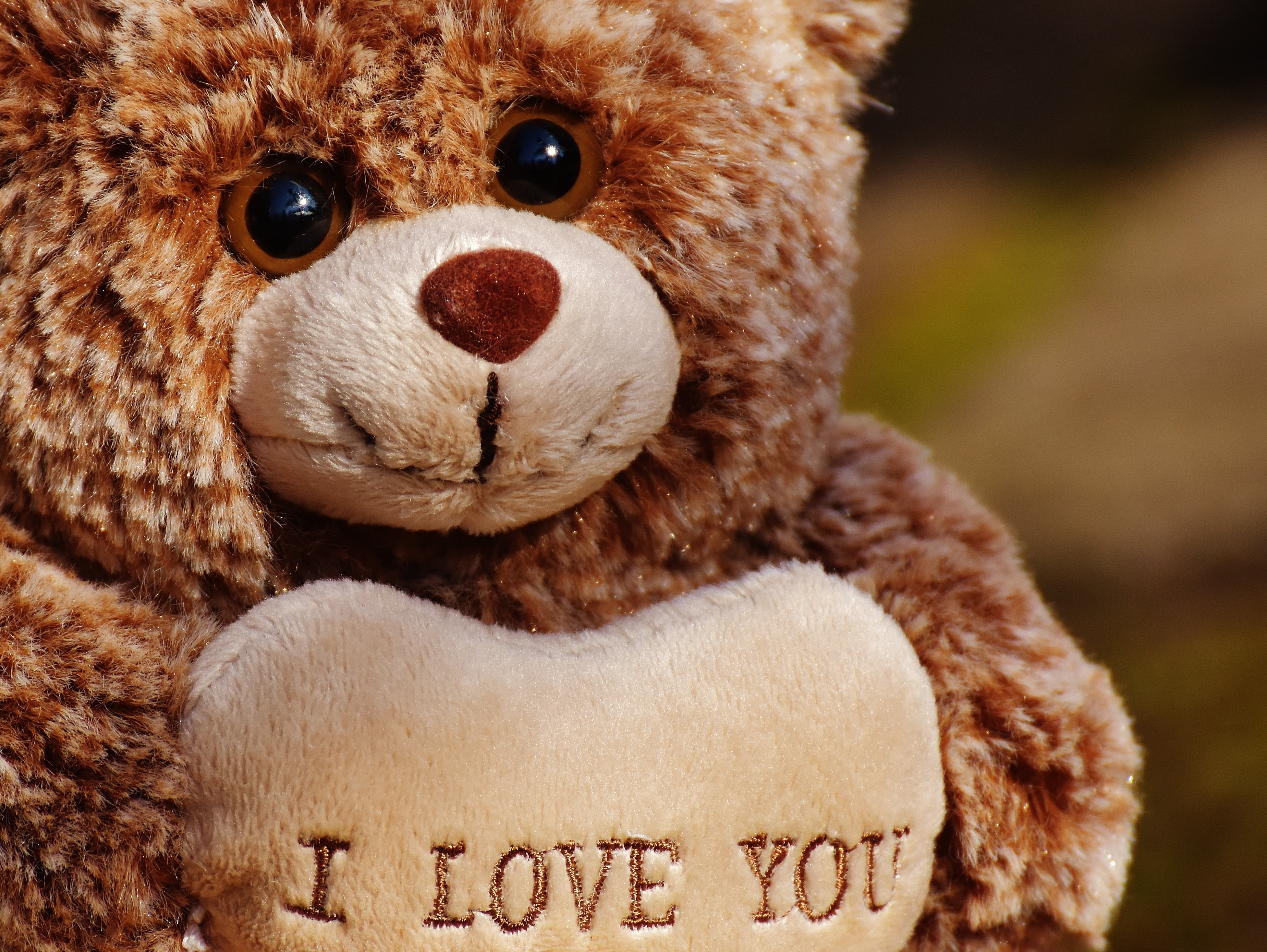 teddy, indoors, brown, plush, portrait, animal themes, stuffed toy, love, soft toy, toys, day, affection, childhood, close-up, friends, teddy bear, animal, HD Wallpaper