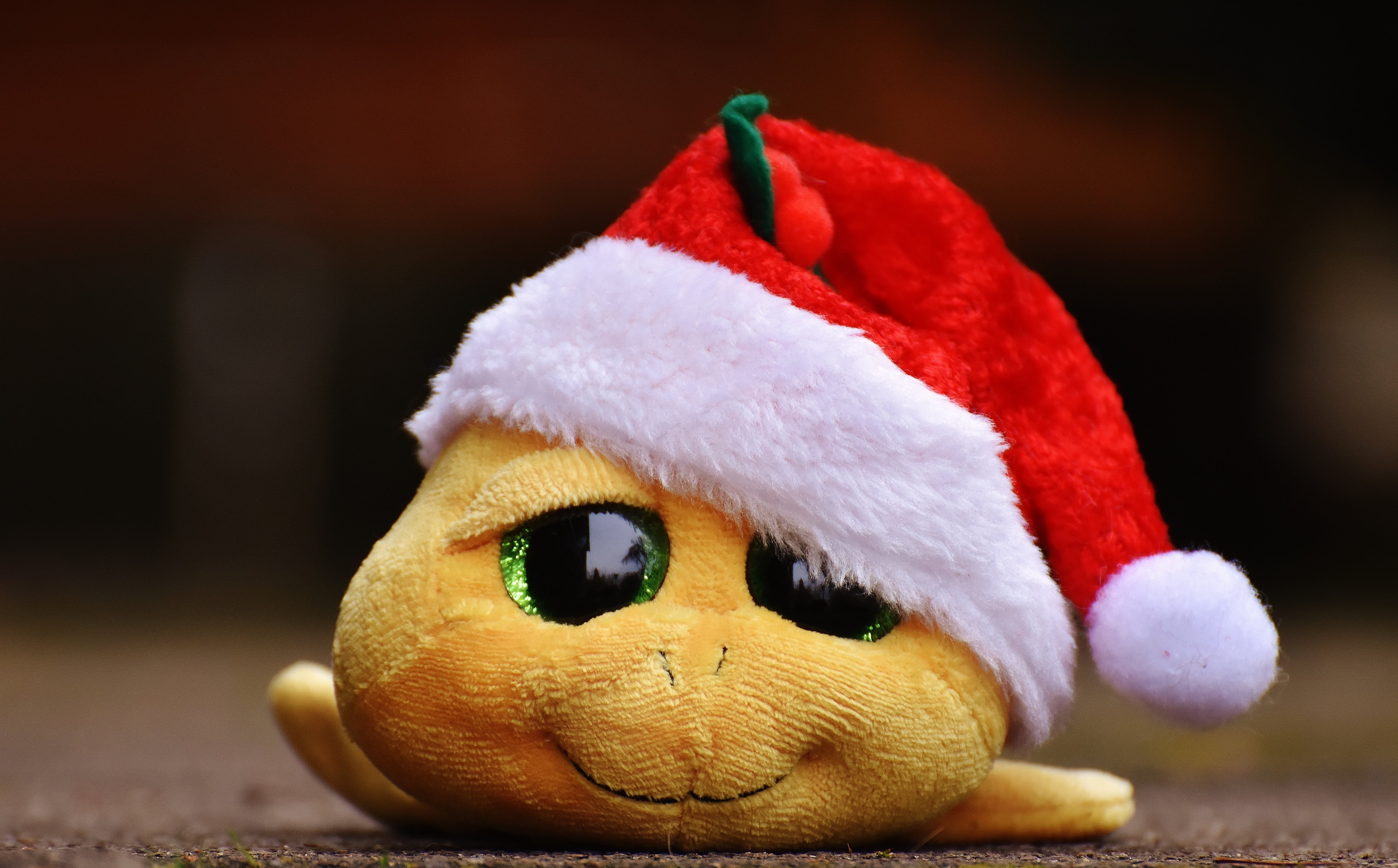 holiday - event, fun, animal, children toys, hat, stuffed toy, no people, day, santa hat, red, glitter eyes, single object, cuddly, santa claus, holiday, HD Wallpaper