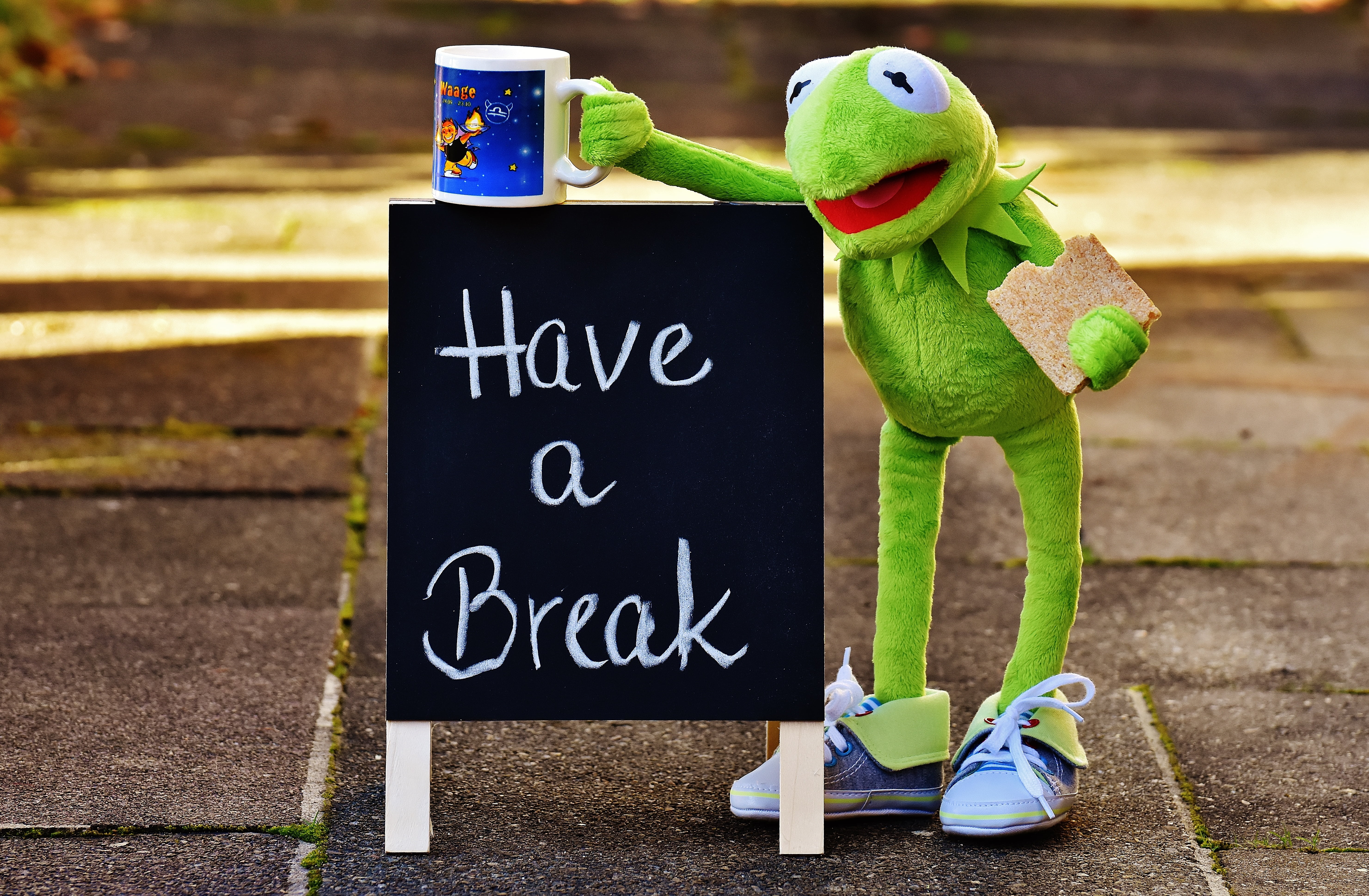 communication, toy, coffee mugs, alexas photos, mug, benefit from, beside, funny, sign, cup, frog, close-up, break, representation, plush, chalkboard, shoe, HD Wallpaper
