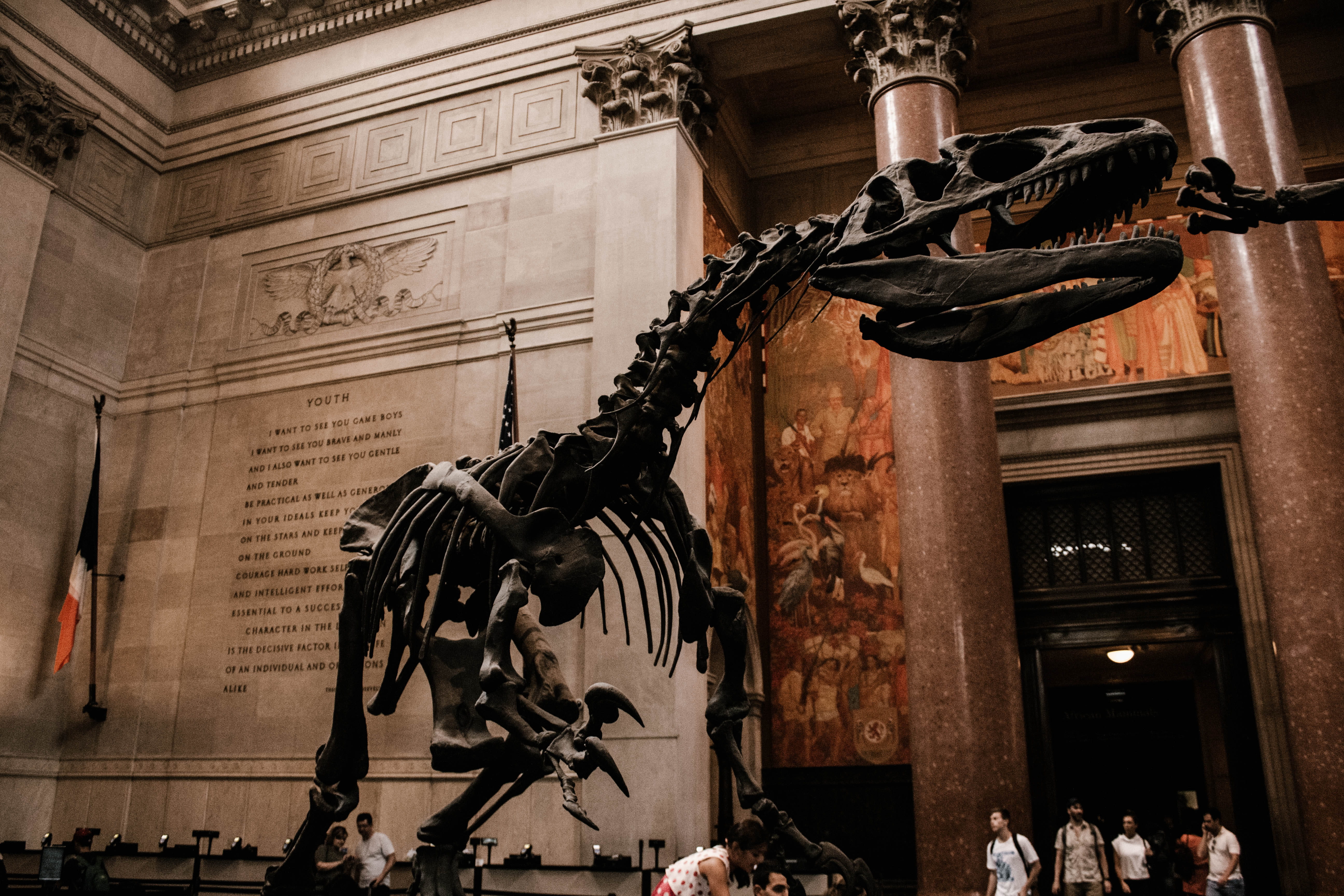 statue, europe, watching, bone, history, built Structure, fossil, city, famous Place, dinosaur, architecture, sculpture, building, museum, person, 5K, HD Wallpaper