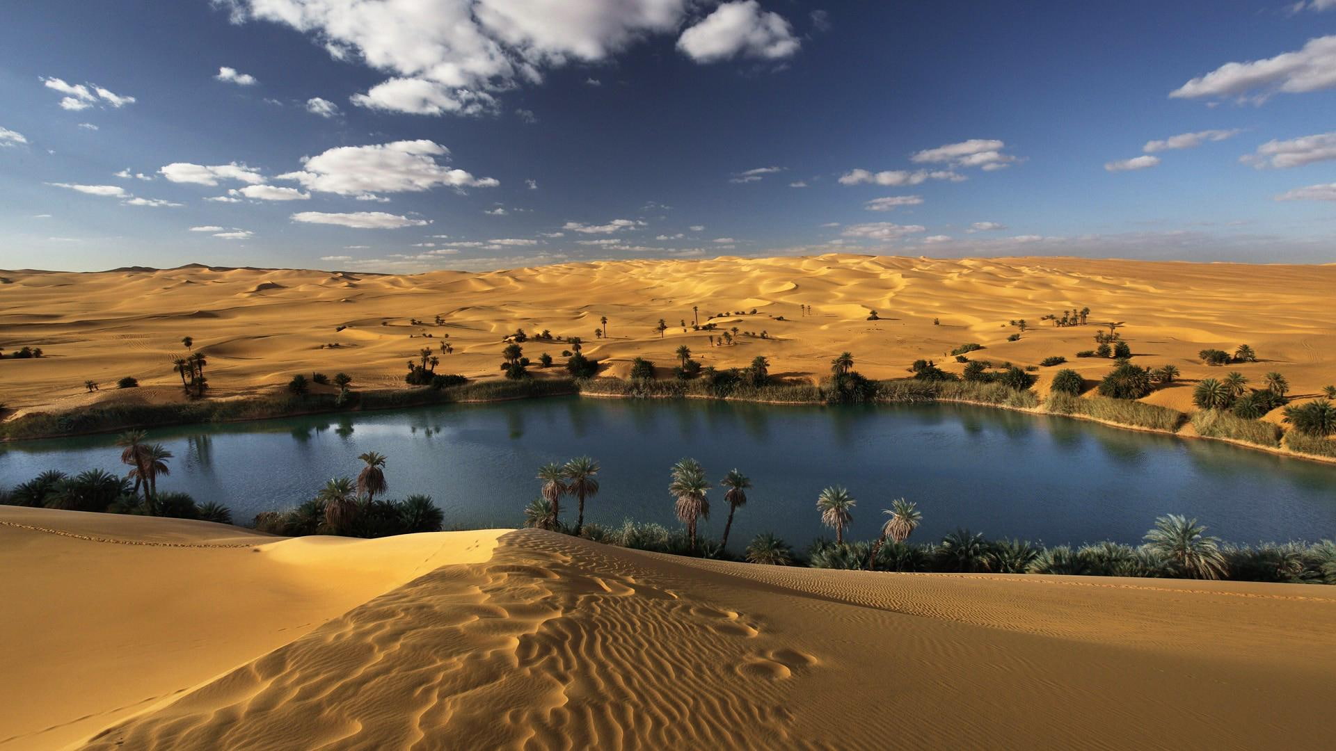 1080P, desert, water, landscape, 3d, cgi, d, lakes, oasis, gallery, HD Wallpaper