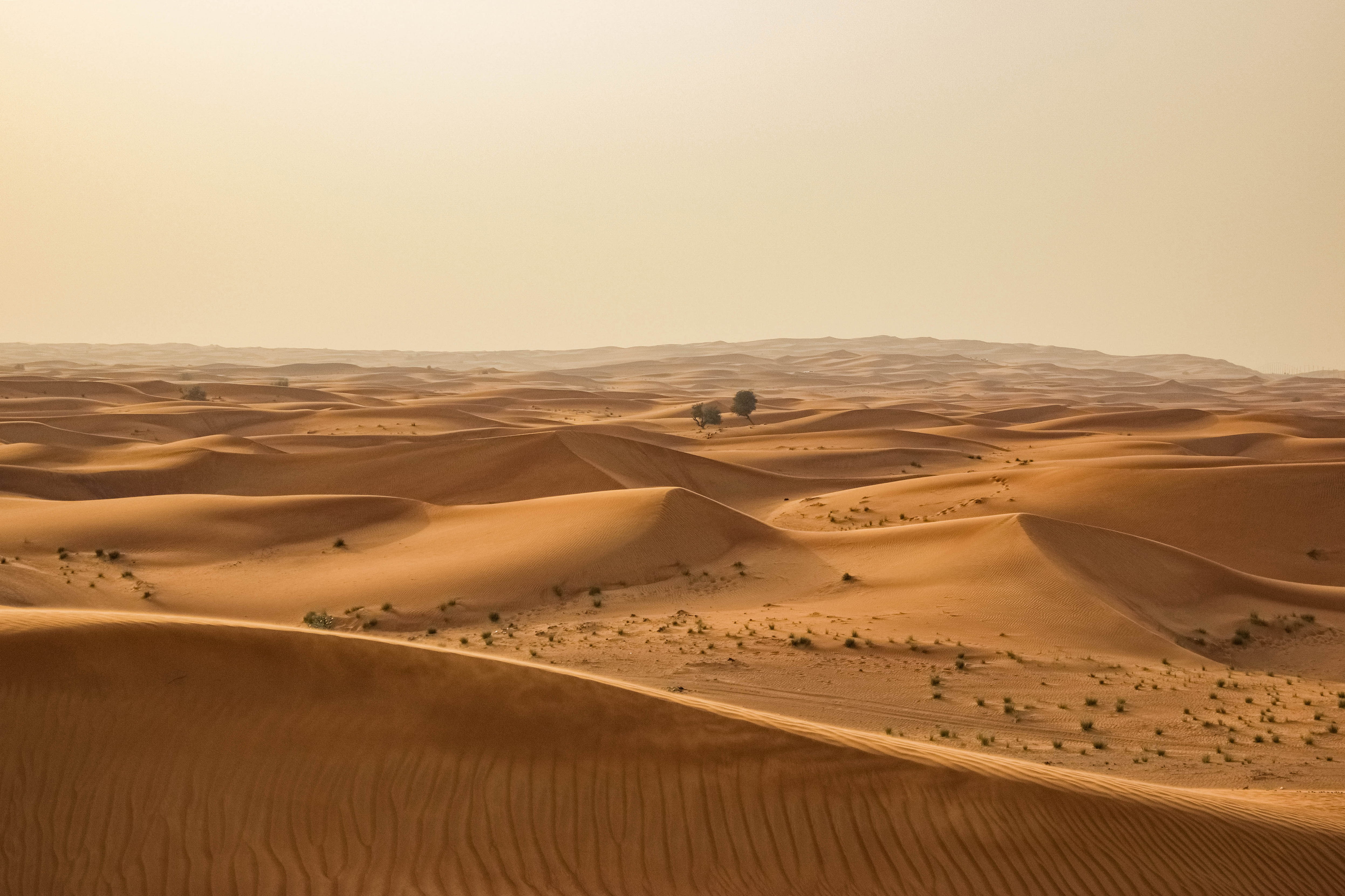  aerial, sand, nature, travel, warm, tranquil scene, outdoors, oasi, desert, hot, travel backgrounds, dune, arid climate, background, remote, HD Wallpaper