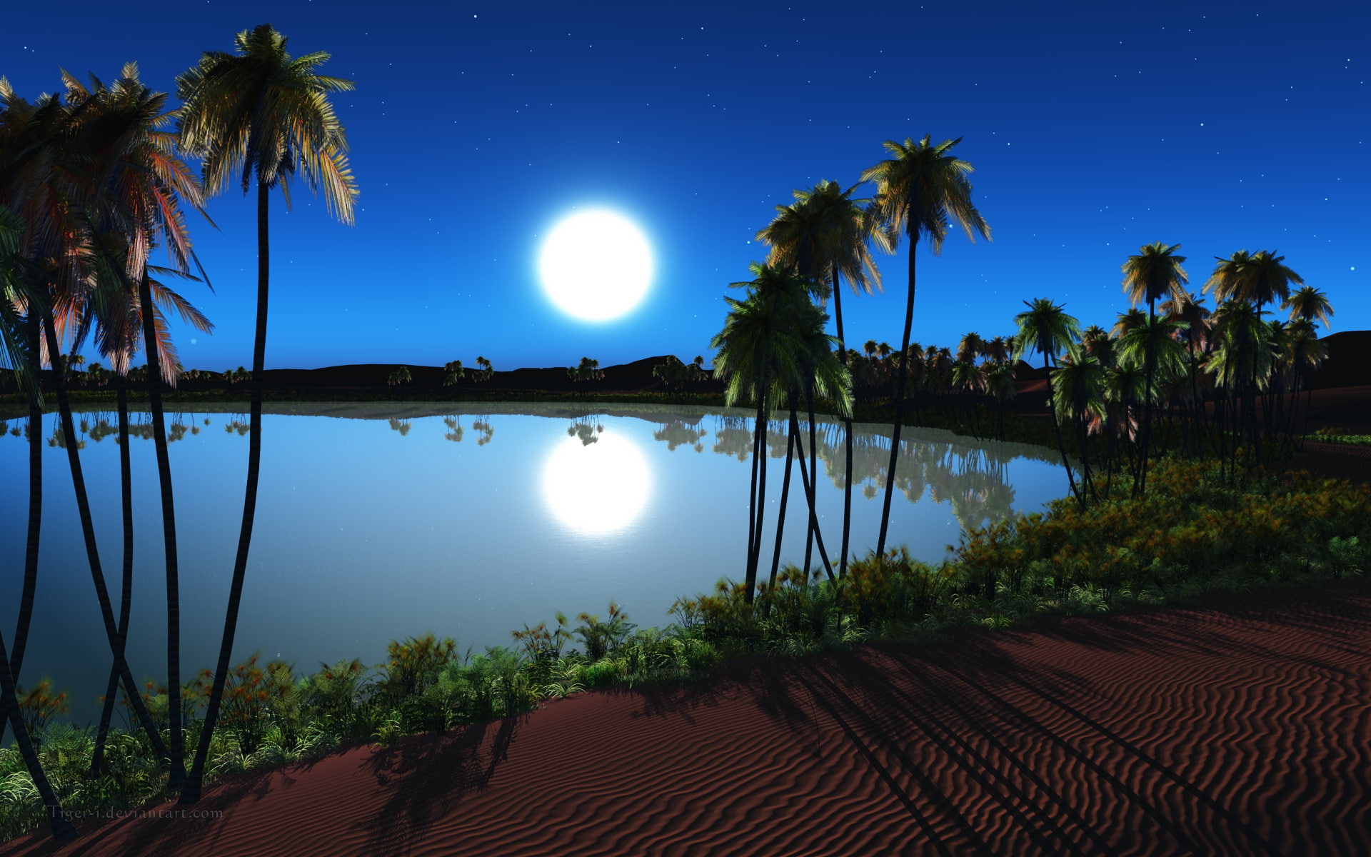 1080P, night, oasis, HD Wallpaper