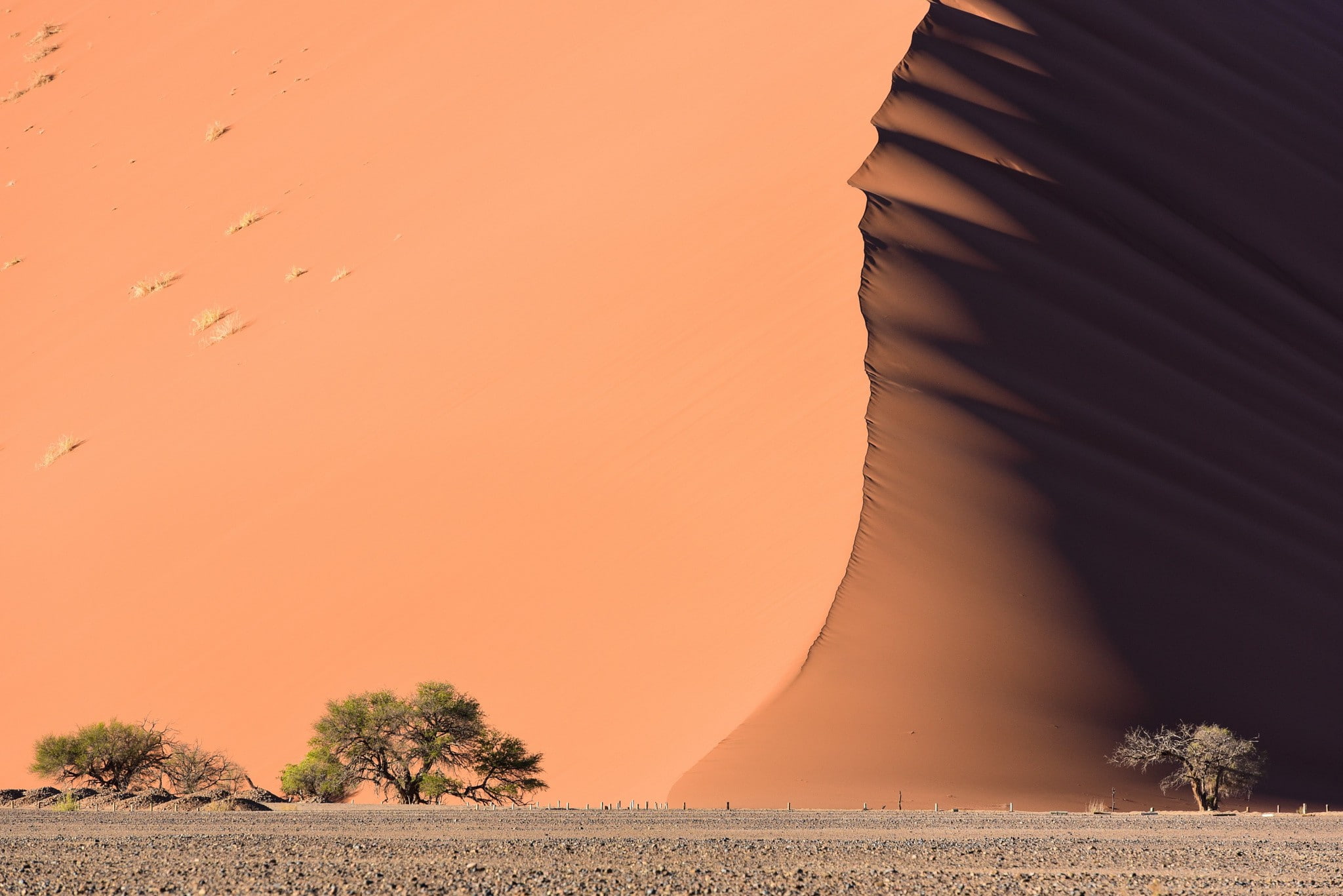 beauty in nature, non-urban scene, landscape, tree, land, tranquil scene, climate, remote, environment, arid climate, nature, sunset, dune, sky, plant, HD Wallpaper
