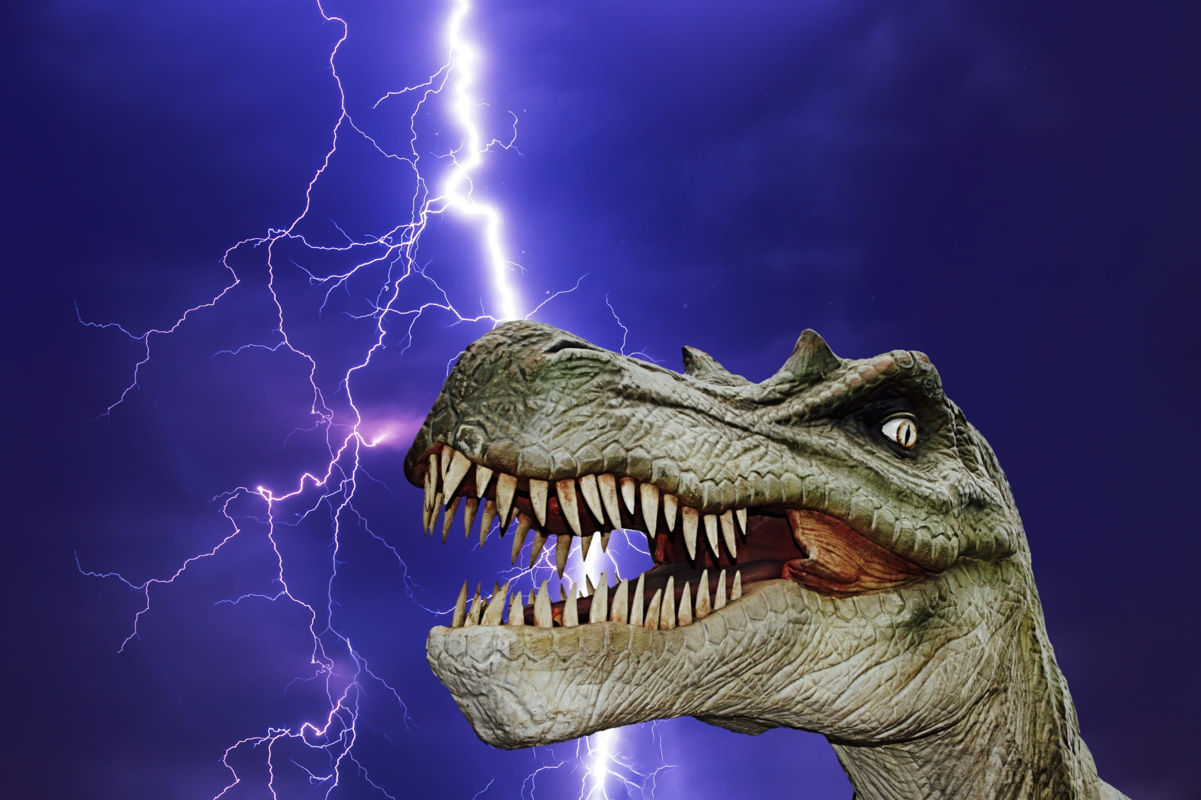 aggression, carnivorous dinosaurs, dangerous, ominous, evolution, purple, warning sign, brown, animal themes, cloud - sky, 1080P, jurassic park, lizard, HD Wallpaper