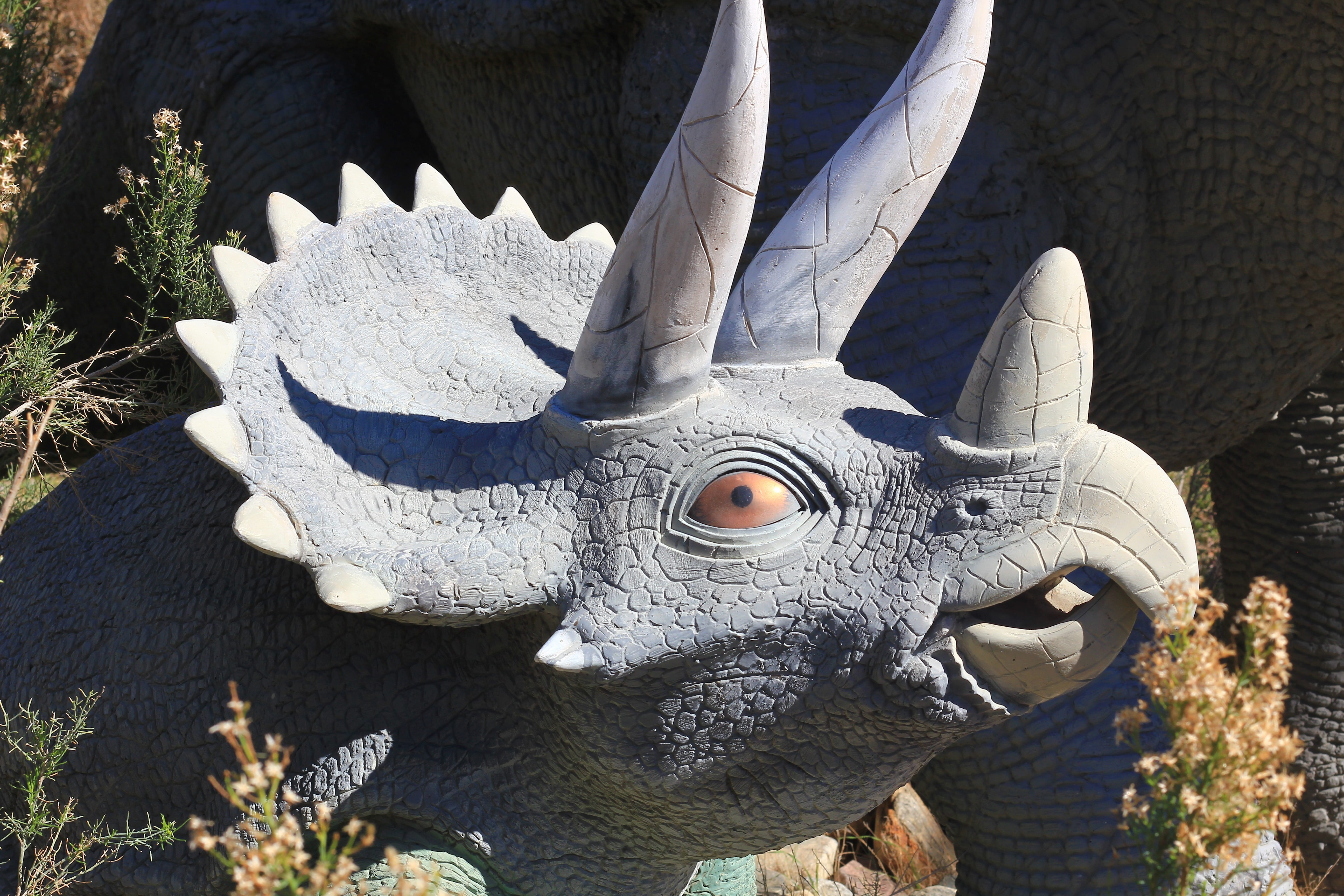 animal representation, sunlight, creativity, representation, animal head, 5K, animal wildlife, animal, exposition, nature, triceratops, predator, horned, HD Wallpaper