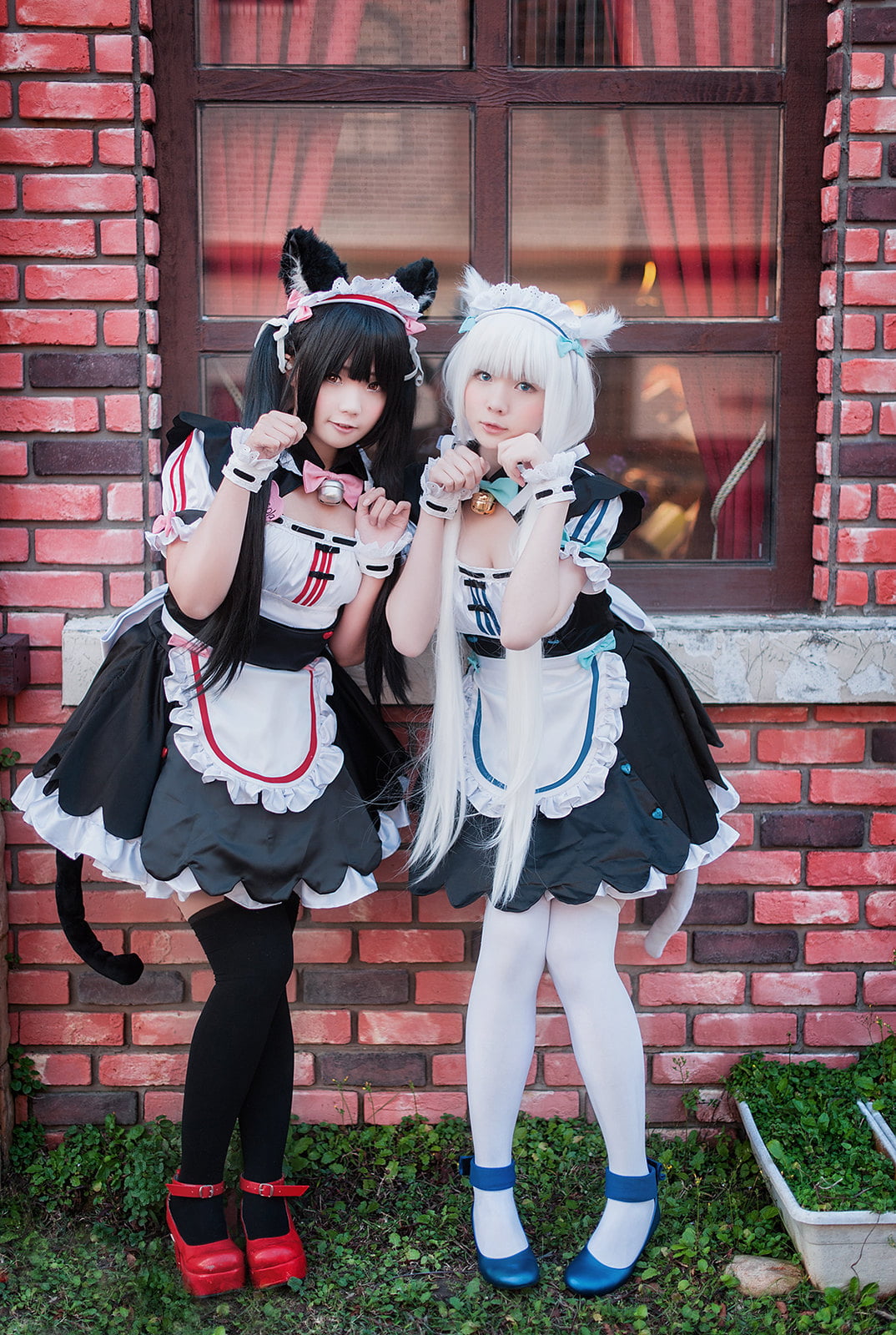 cosplay, Asian, women, 720P, Neko Para, thigh high socks, Phone HD Wallpaper