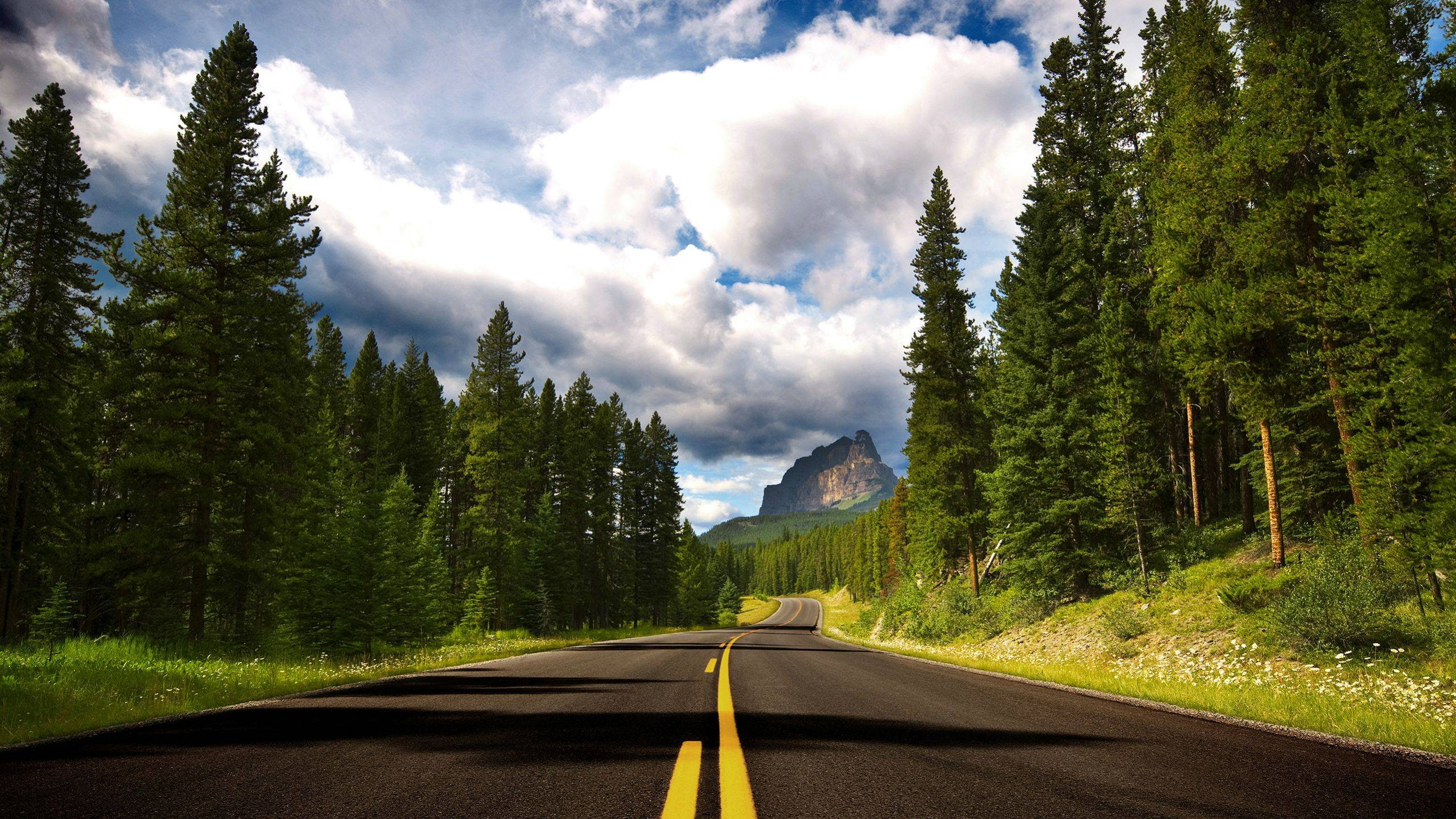 road, green color, r, goes, plant, dividing line, symbol, beauty in nature, nature, mountain, 1080P, the way forward, ever, direction, transportation, HD Wallpaper