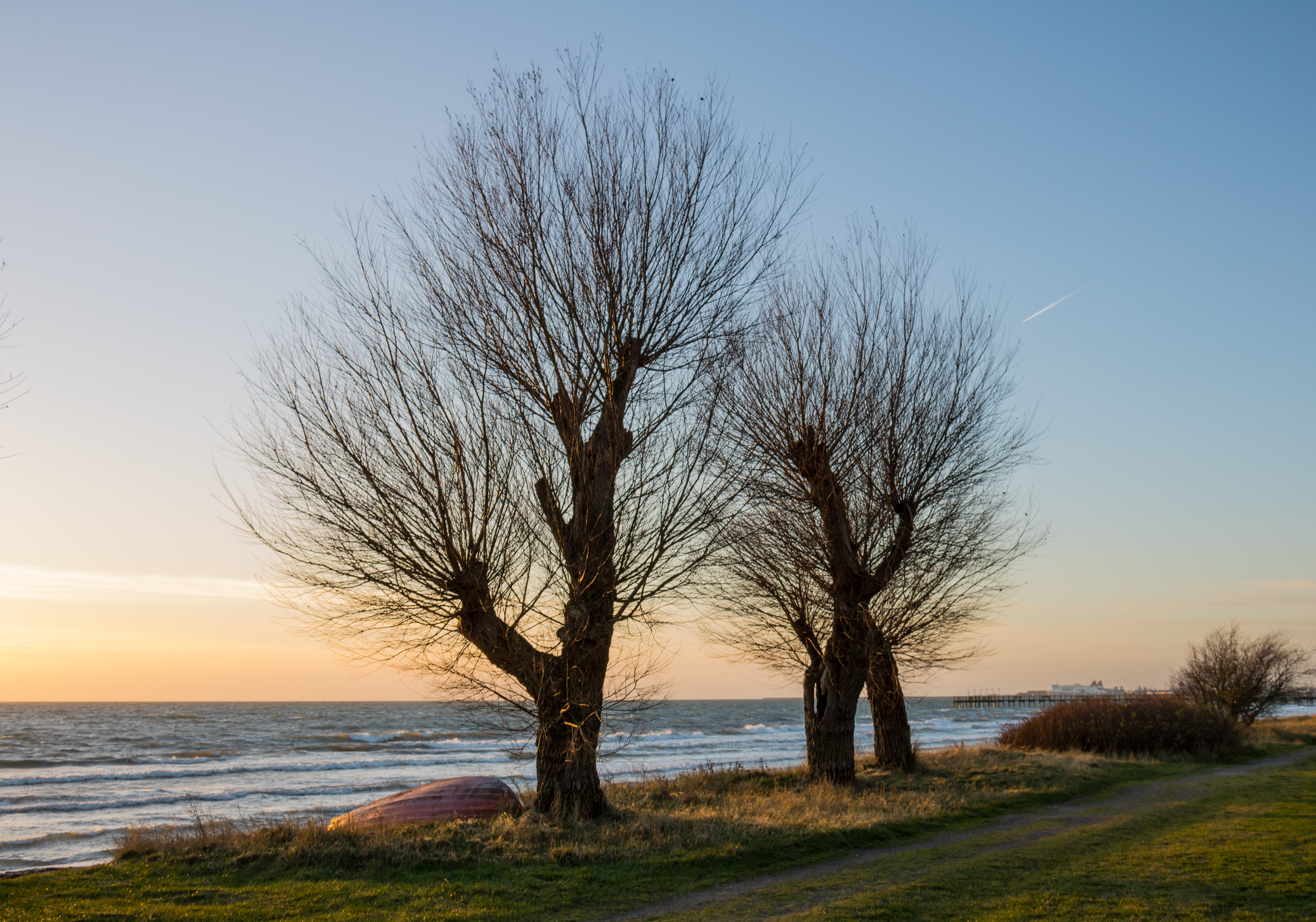 two, water, bare trees, beach, near, kust, mm, ef, ƒ / 7, canon, aperture, nature, lens, camera, coast, landscape photography, sea, Trelleborg, sunset  tree, HD Wallpaper