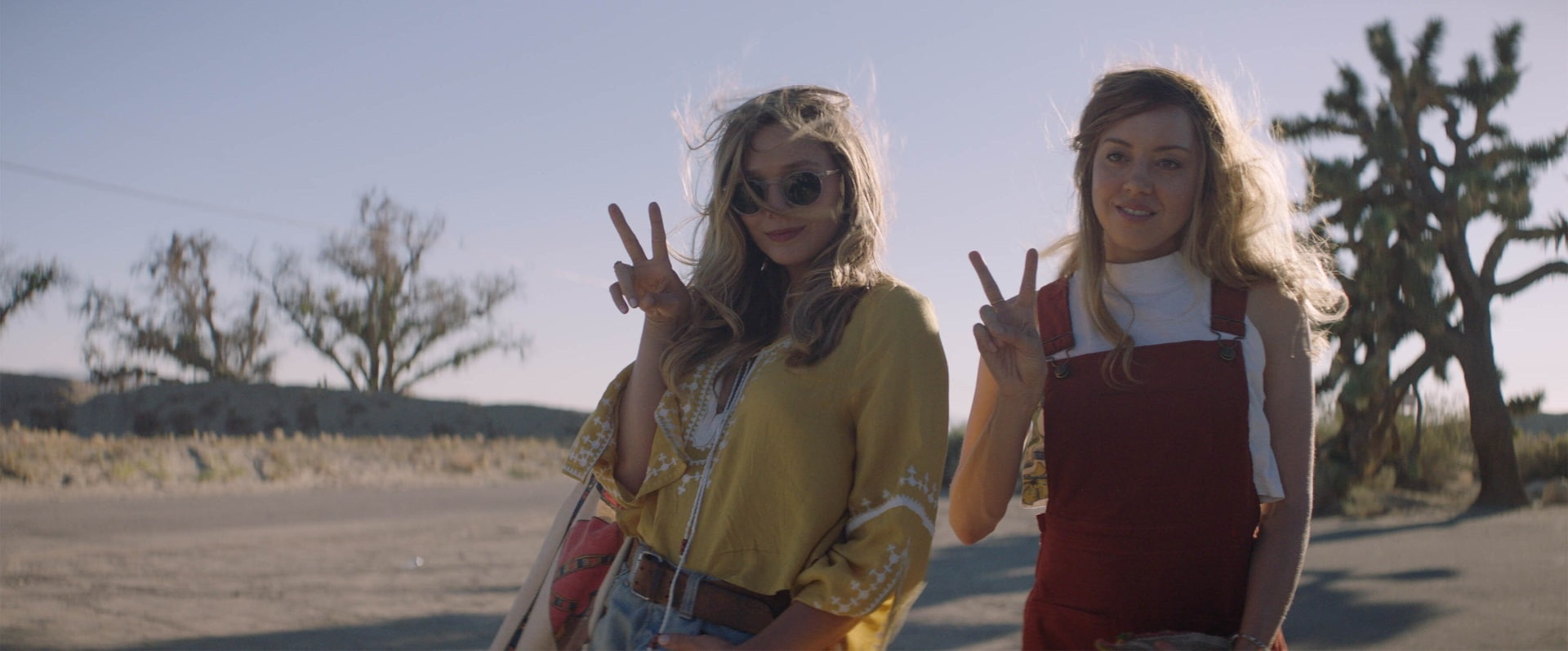 1080P, ingrid goes west hd, HD Wallpaper