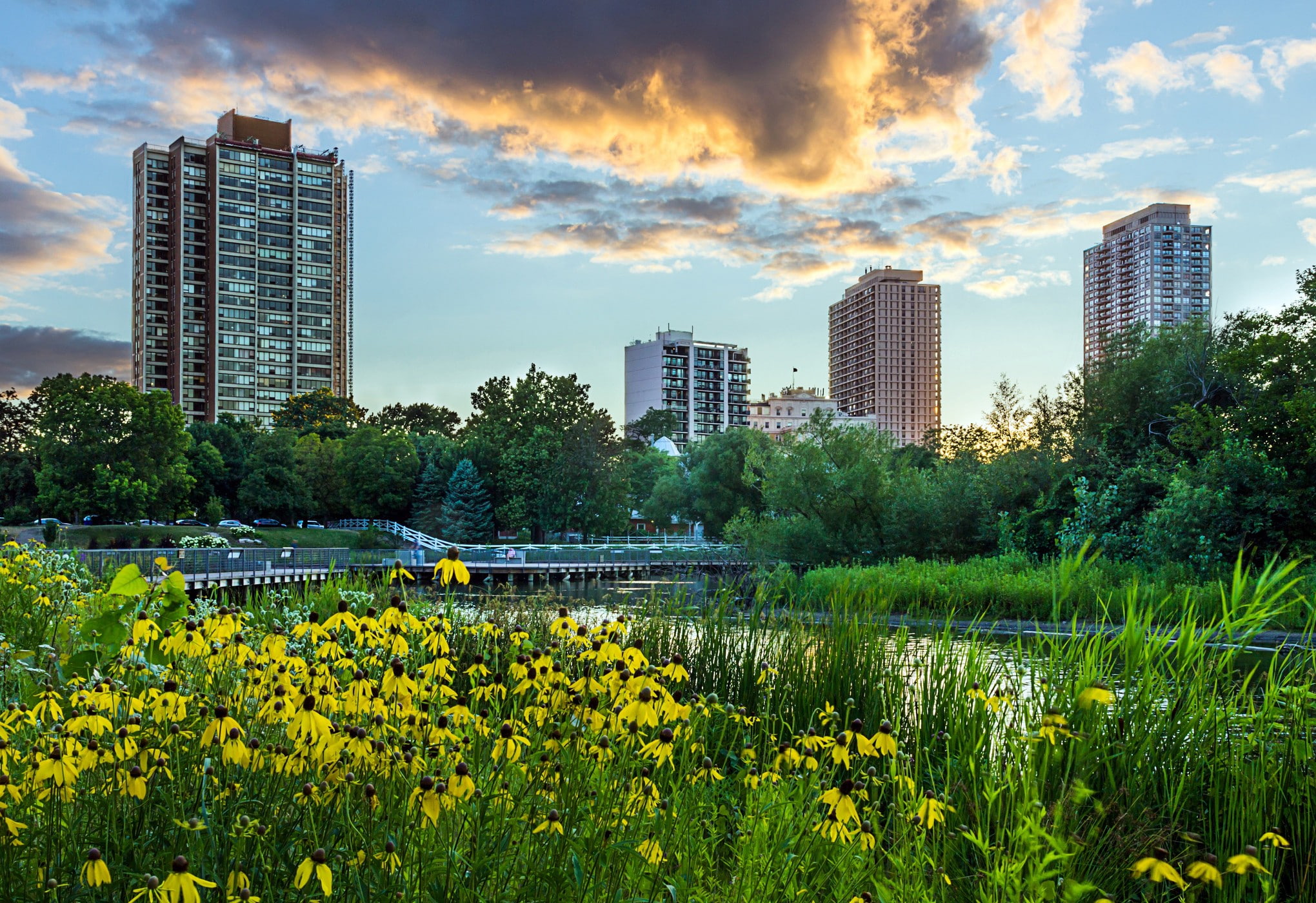 park, sky, Skyscrapers, Night, clouds, city, Sunset, 1080P, landscape, grass, Illinois, flowers, yellow, trees, USA, Chicago, pond, HD Wallpaper