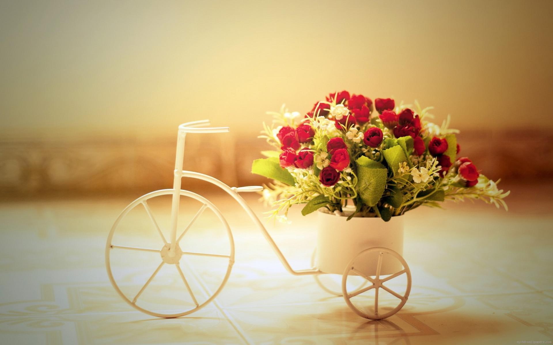 red, flower, diverse, roses, bouquet, trike, white, 1080P, bike, pot, vase, love, rose, HD Wallpaper