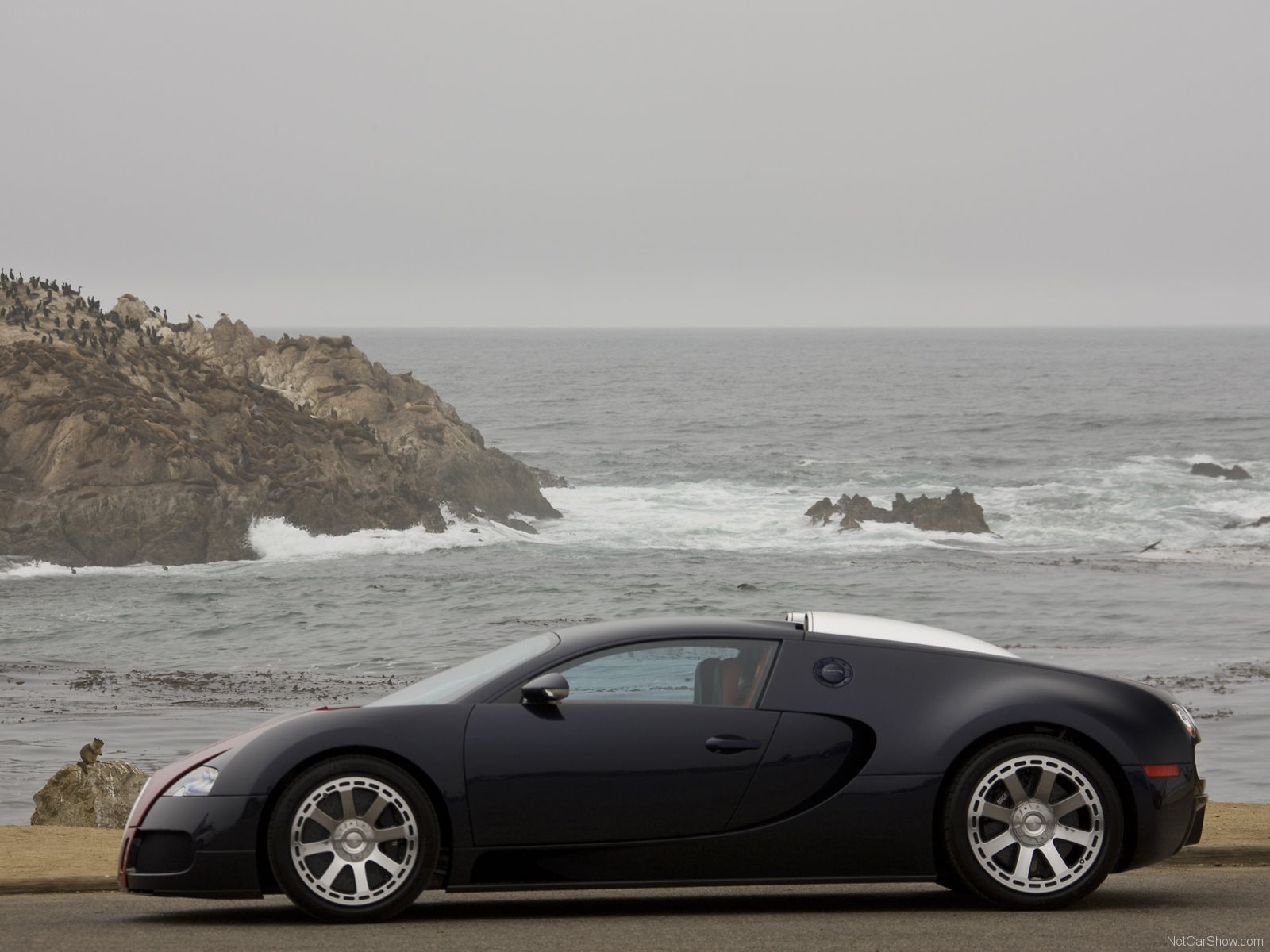 veyron, 720P, cars, hermes, bugatti, HD Wallpaper