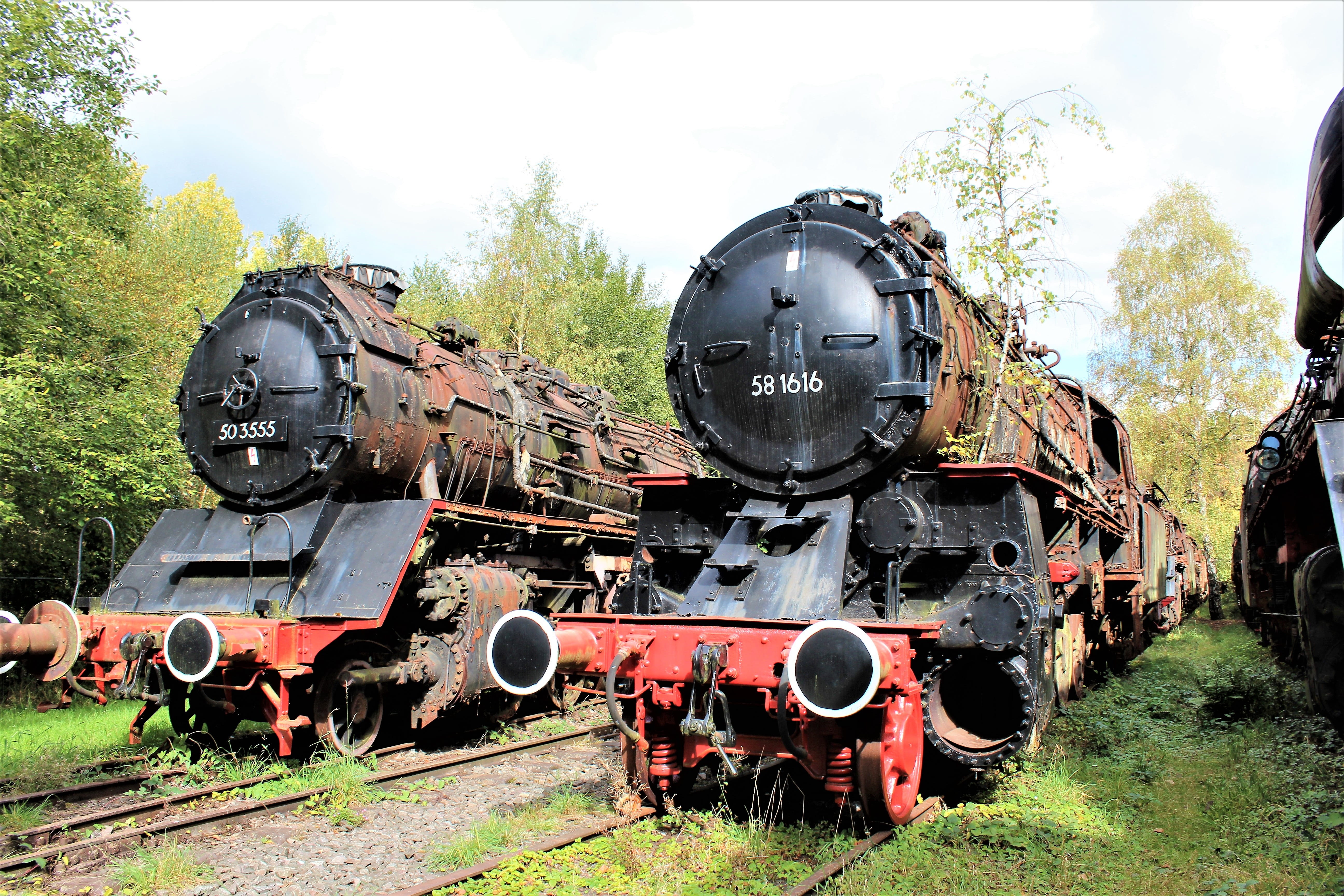 plant, tree, transportation, antique, steam train, metal, day, hermes wedge, technology, sunlight, the past, outdoors, historically, wheel, railroad track, HD Wallpaper