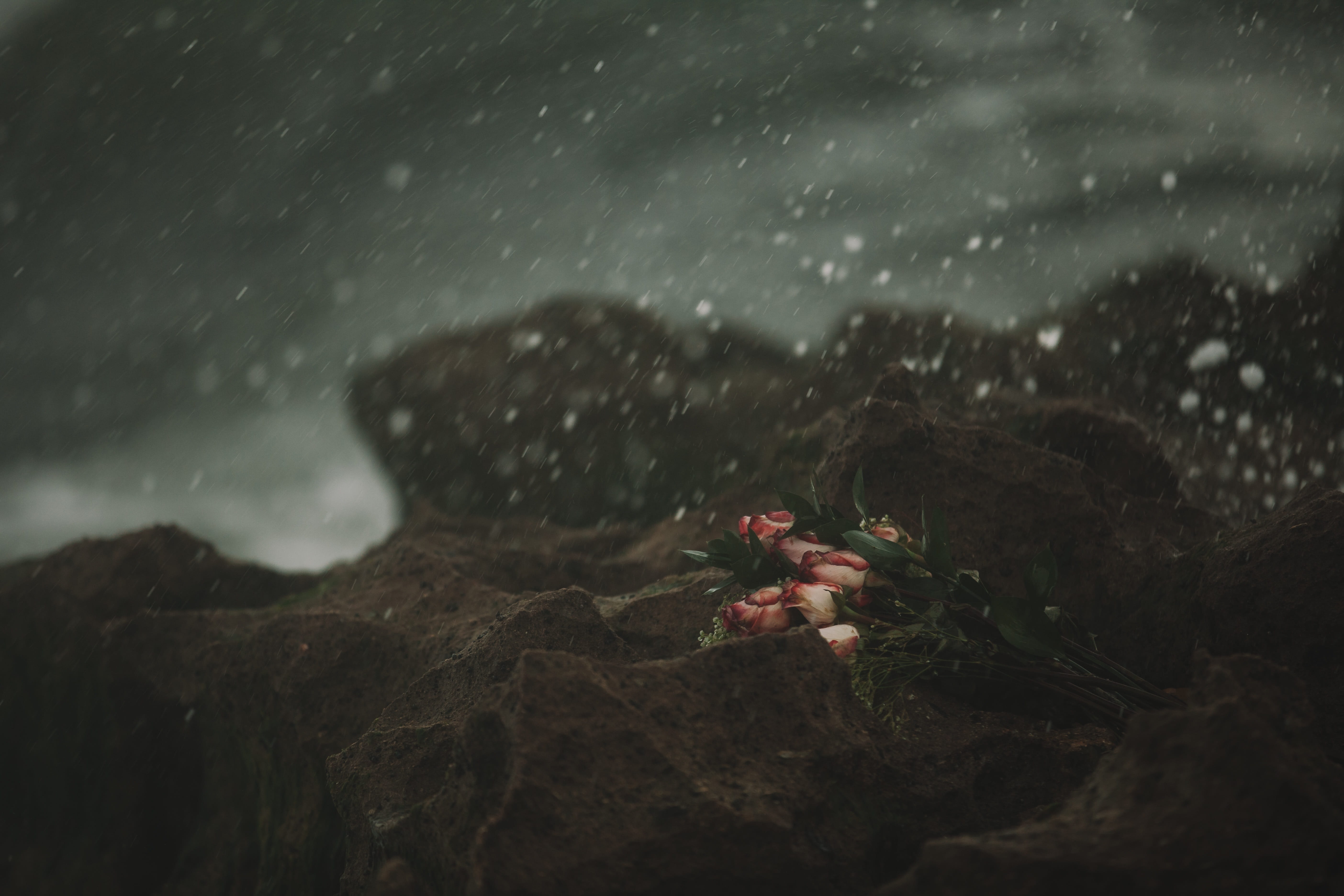 wet, stormy relationship, motion, rainy season, day, relationship, no people, dead, bitterness, plant, breakup, beauty in nature, drop, divorce, rock - object, HD Wallpaper