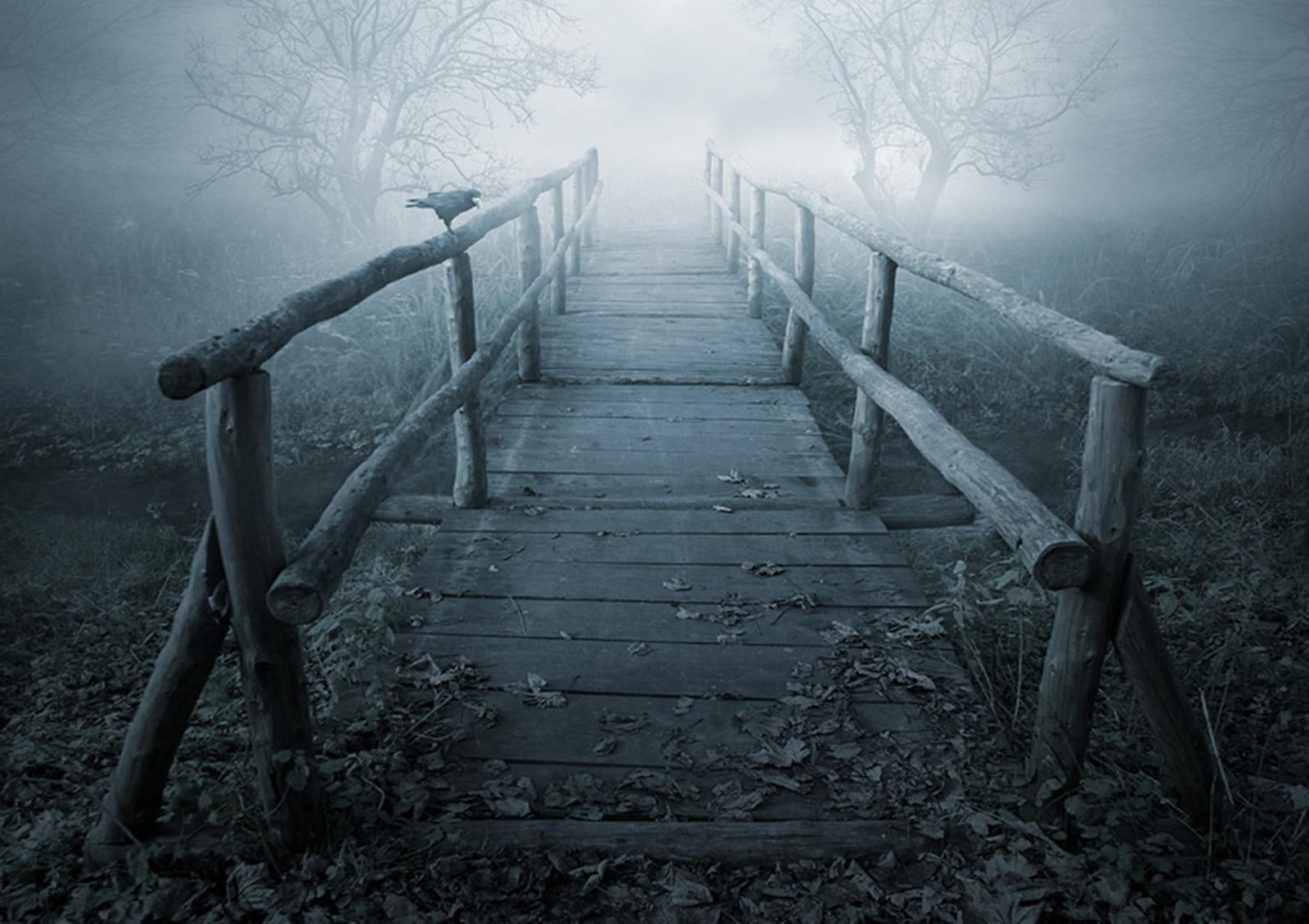 crow, s, blue, 720P, sorrows, nature, bridge, november, HD Wallpaper