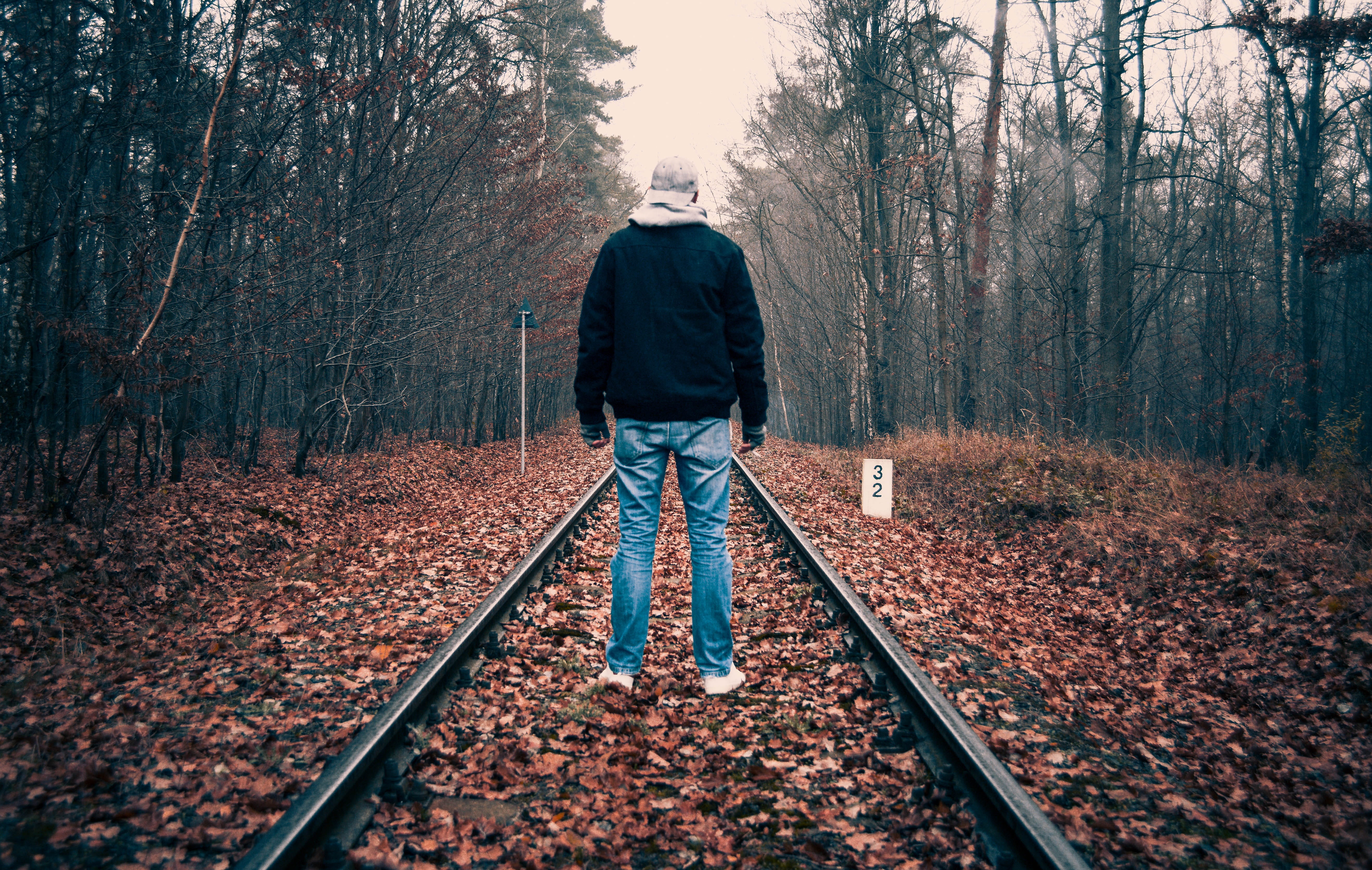 tree, direction, male, contemplation, full length, a person, forest, sad, the emotion, 5K, gloomily, position, view, change, mood, guy, land, outdoors, HD Wallpaper