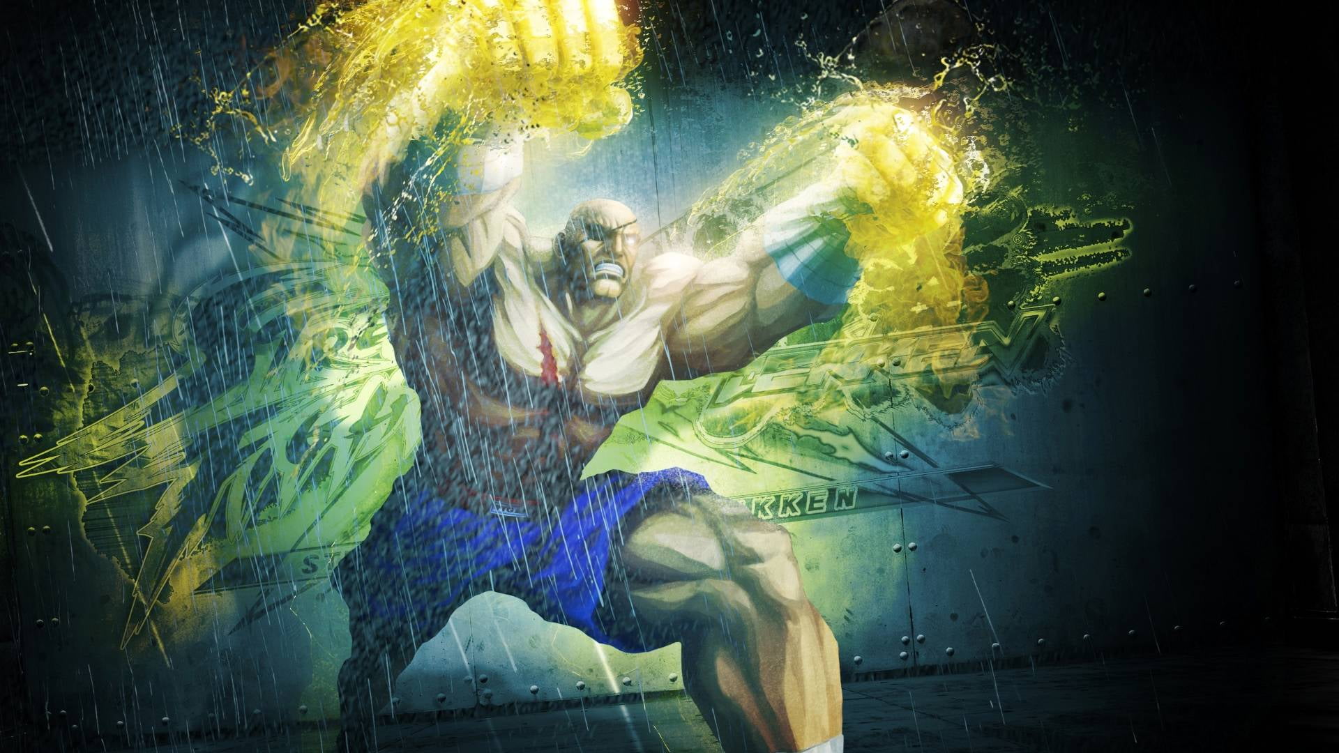 Street Fighter X Tekken, beauty, water, sea, beautiful woman, underwater, young adult, fighter, Sagat (Street Fighter), animal wildlife, street, illustration, HD Wallpaper