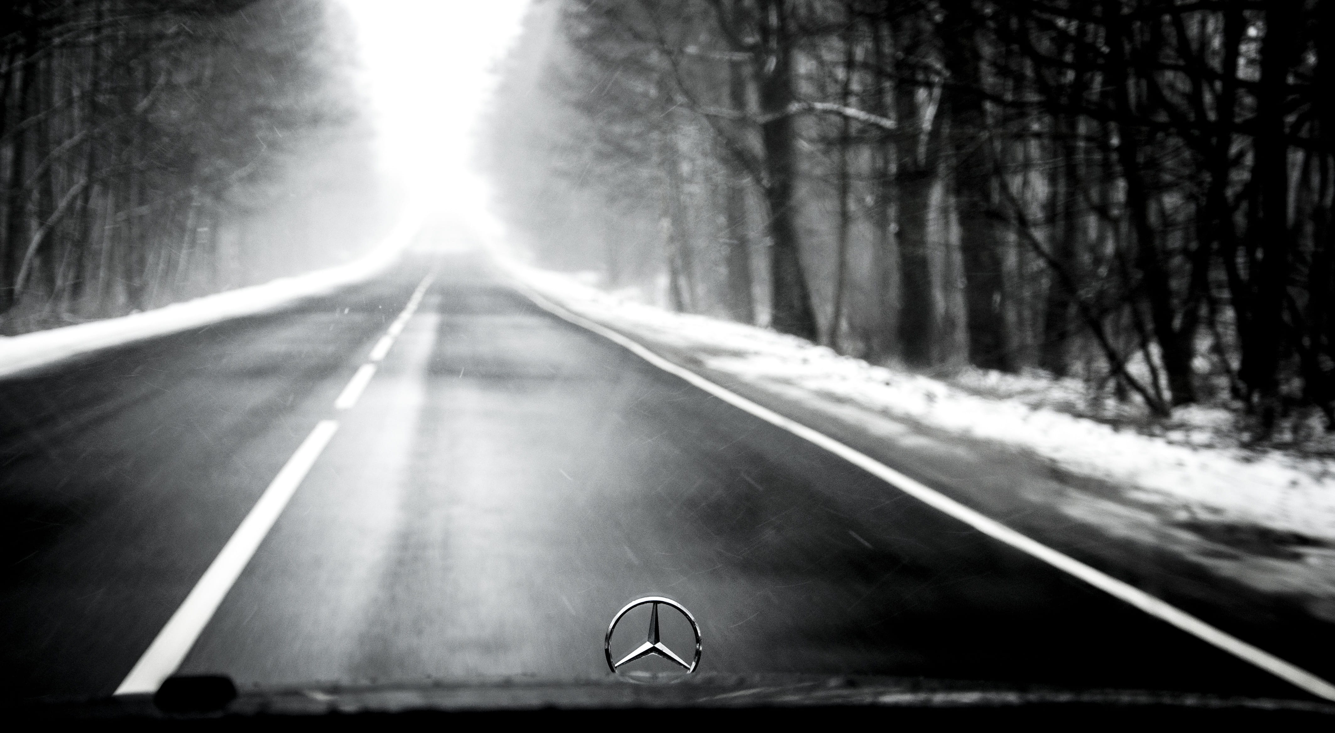 asphalt, day, road marking, marking, pine, russia, car, transportation, trees, traffic, snow, no people, russian landscape, journey, plant, sunlight, living nature, HD Wallpaper