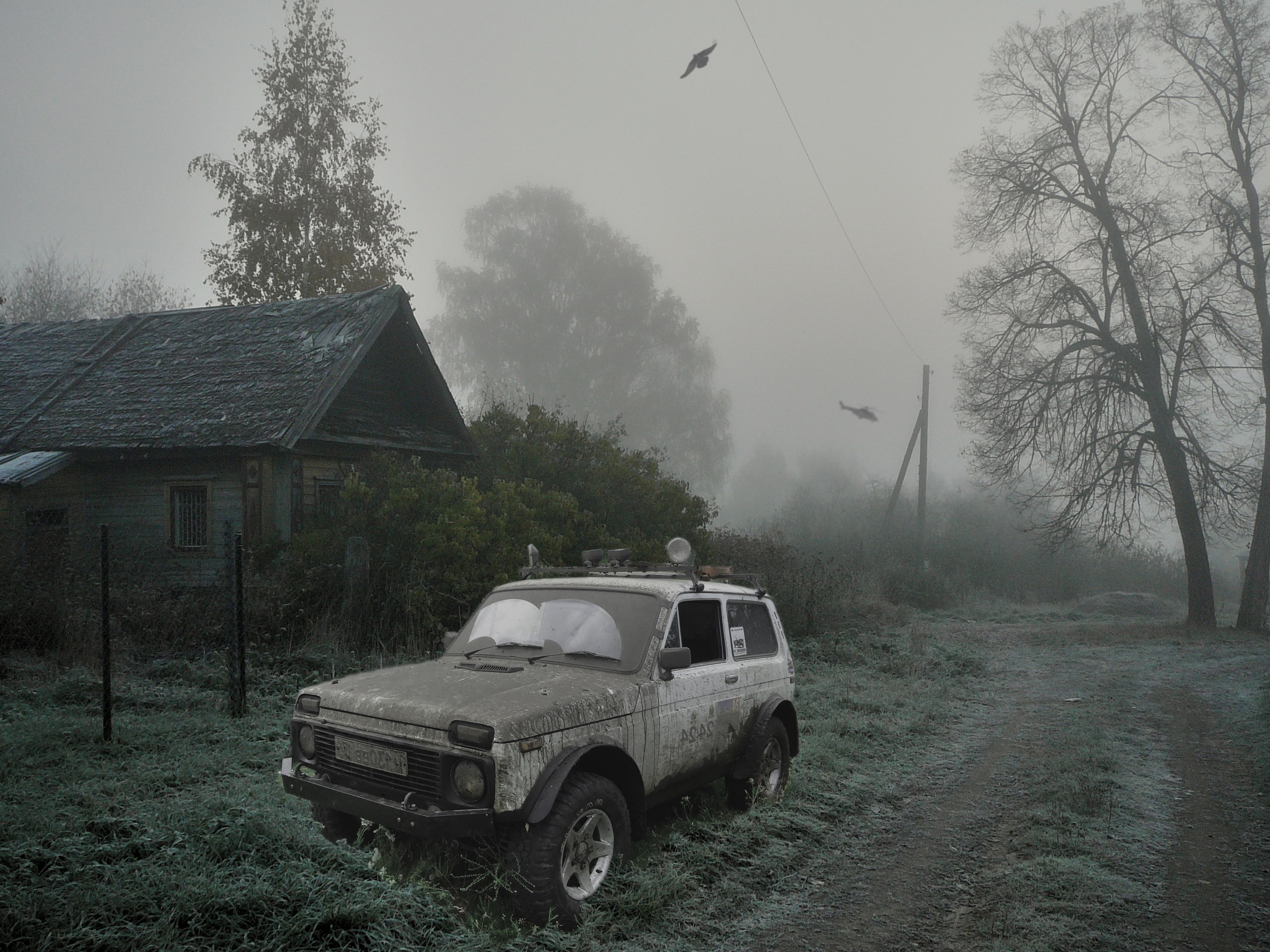 green, forest, helicopter, Niva, 2K, monster, Stalker, HD Wallpaper