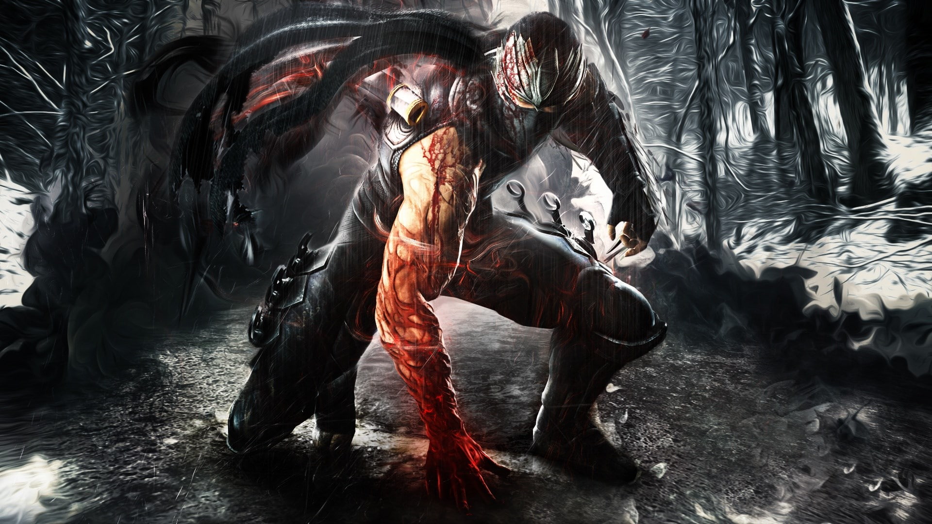 1080P, Ninja Gaiden 3: Razors Edge, HD Wallpaper