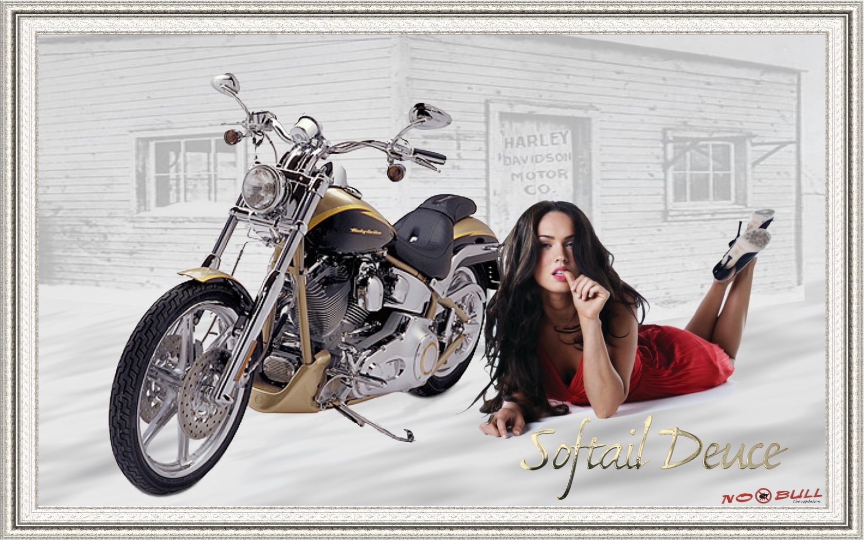 megan, art, 720P, harley, hd, HOT BABE, softail, amp, fox, motorcycles, davidson, softtail, HD Wallpaper