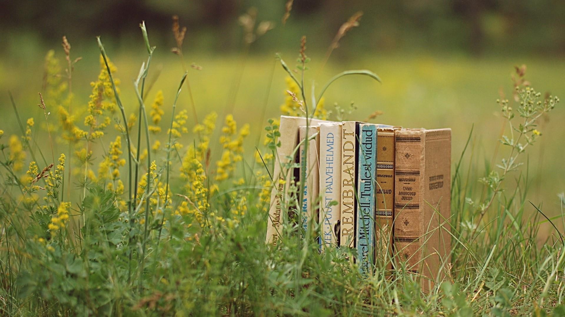 mood, quotes, 1080P, grass, books, stack, HD Wallpaper