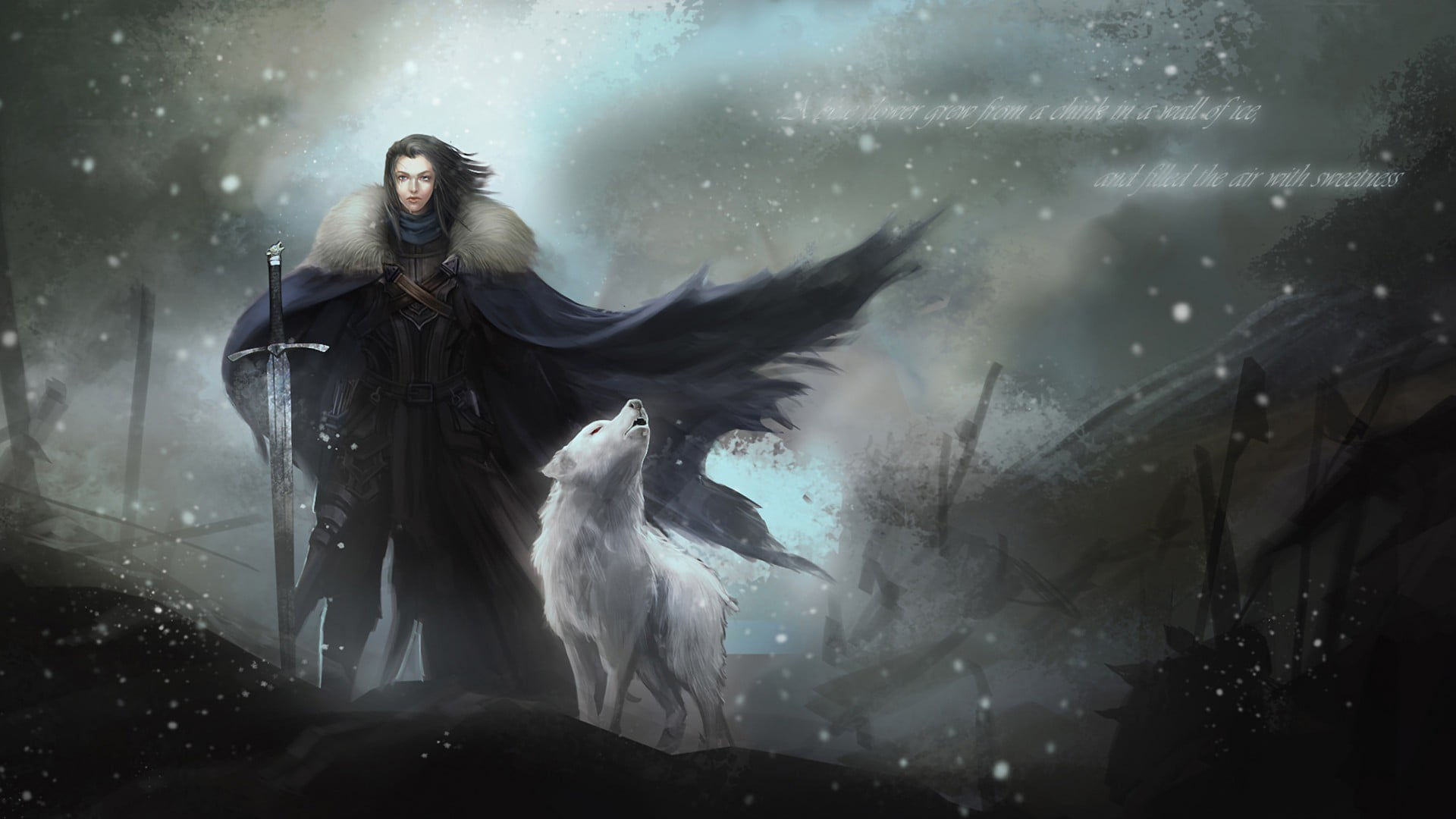 quote, females, front view, motion, wolf, hairstyle, digital, black, young adult, beauty, one person, long hair, witch, real people, standing, HD Wallpaper