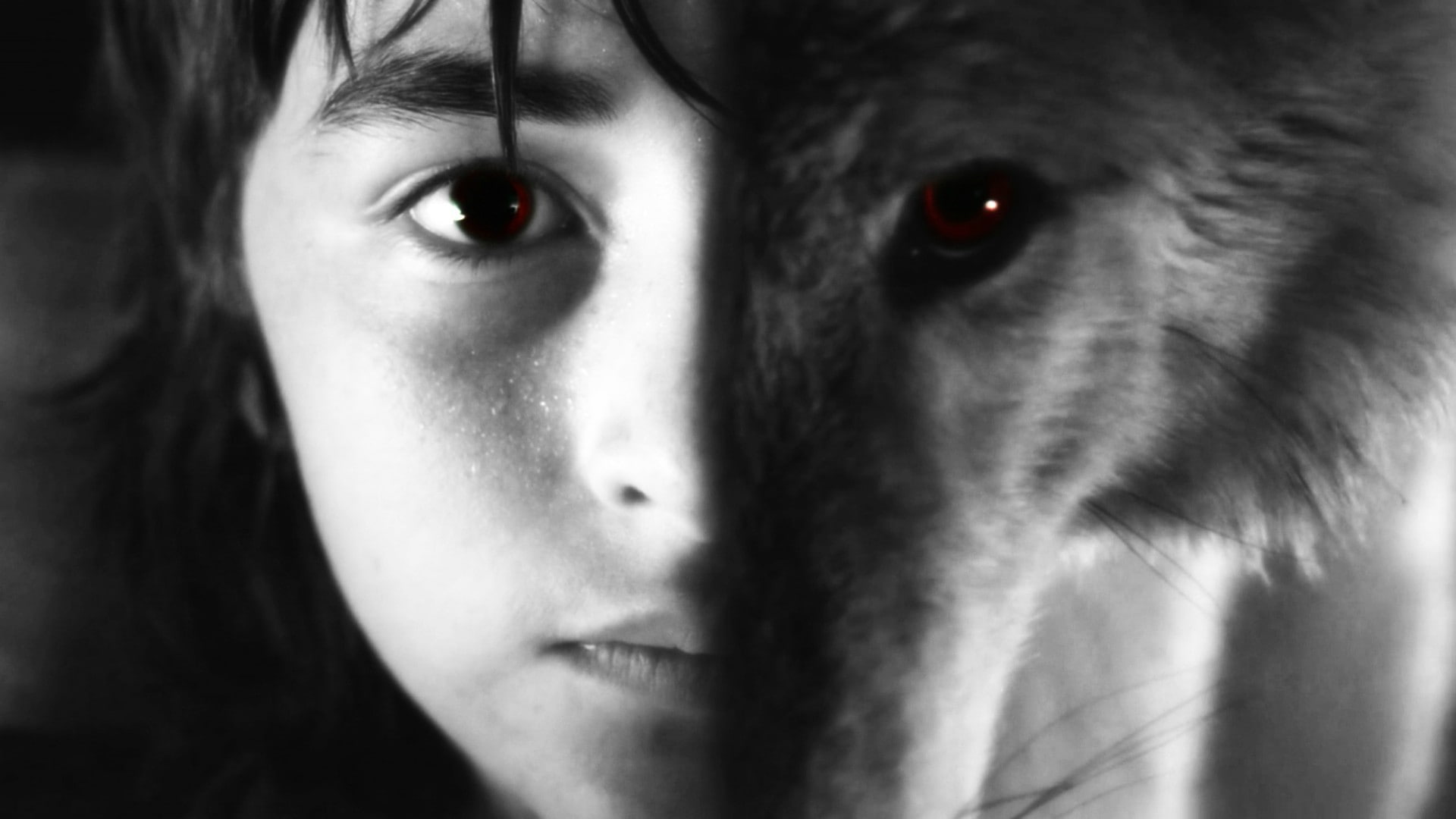 Selective Coloring, 1080P, Game Of Thrones, Direwolves, Brandon Stark, HD Wallpaper