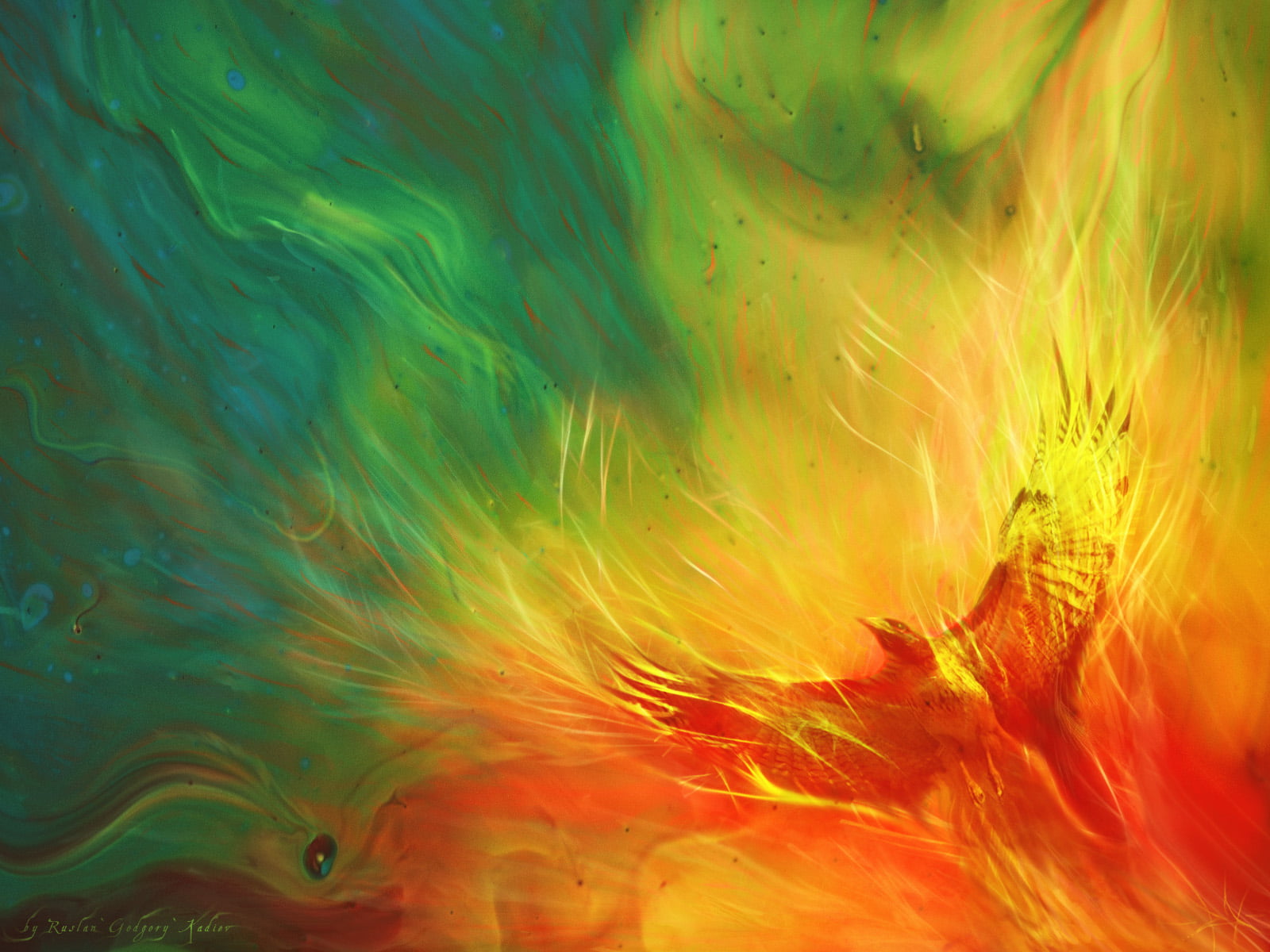 nature, 720P, mixing, multicolored, flowing, vibrant color, motion, full frame, psychedelic, orange color, painting, creativity, yellow, close-up, no people, HD Wallpaper