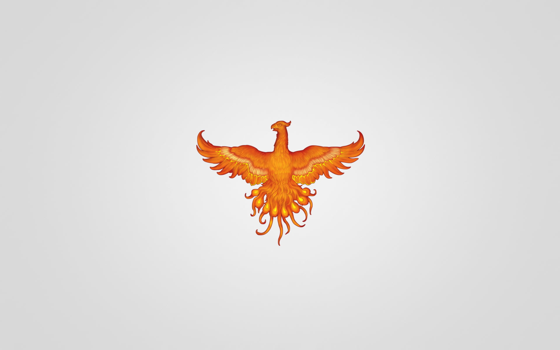 one animal, Phoenix, nature, chicken, pokemon, fenix, animal themes, day, orange color, light background, livestock, indoors, bird, animal representation, HD Wallpaper