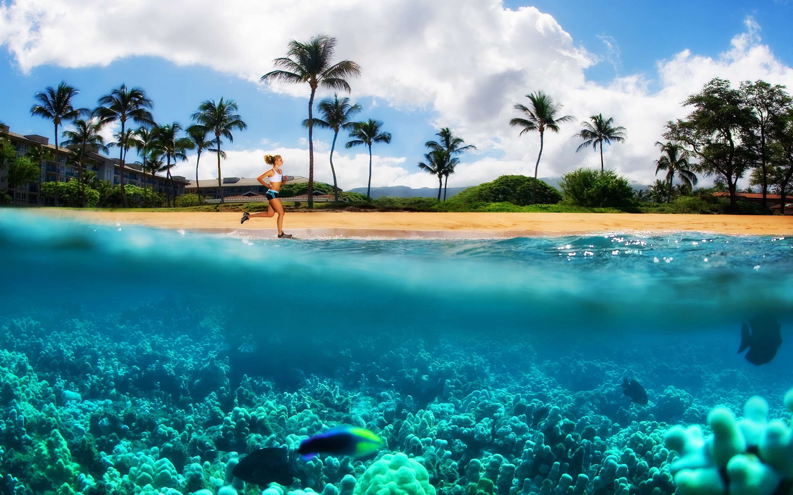 desktop, beach, hawaii, maui, kanappali, background, 2K, HD Wallpaper