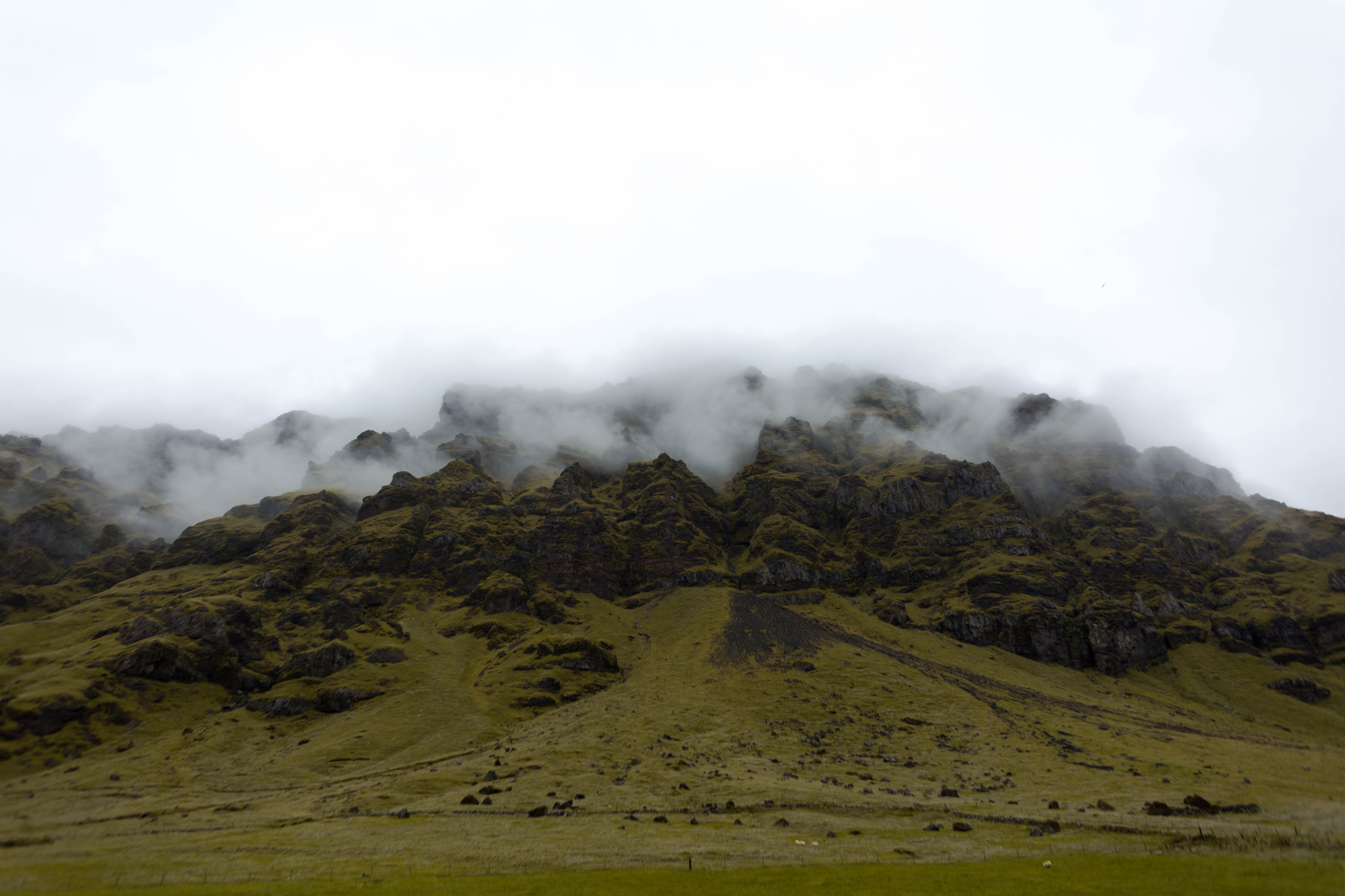 green, rocks, field, environment, volcanic rock, scenery, cloud, mist, mountain, plant, land, tree, landscape, photography, nature, 5K, day, outdoors, HD Wallpaper