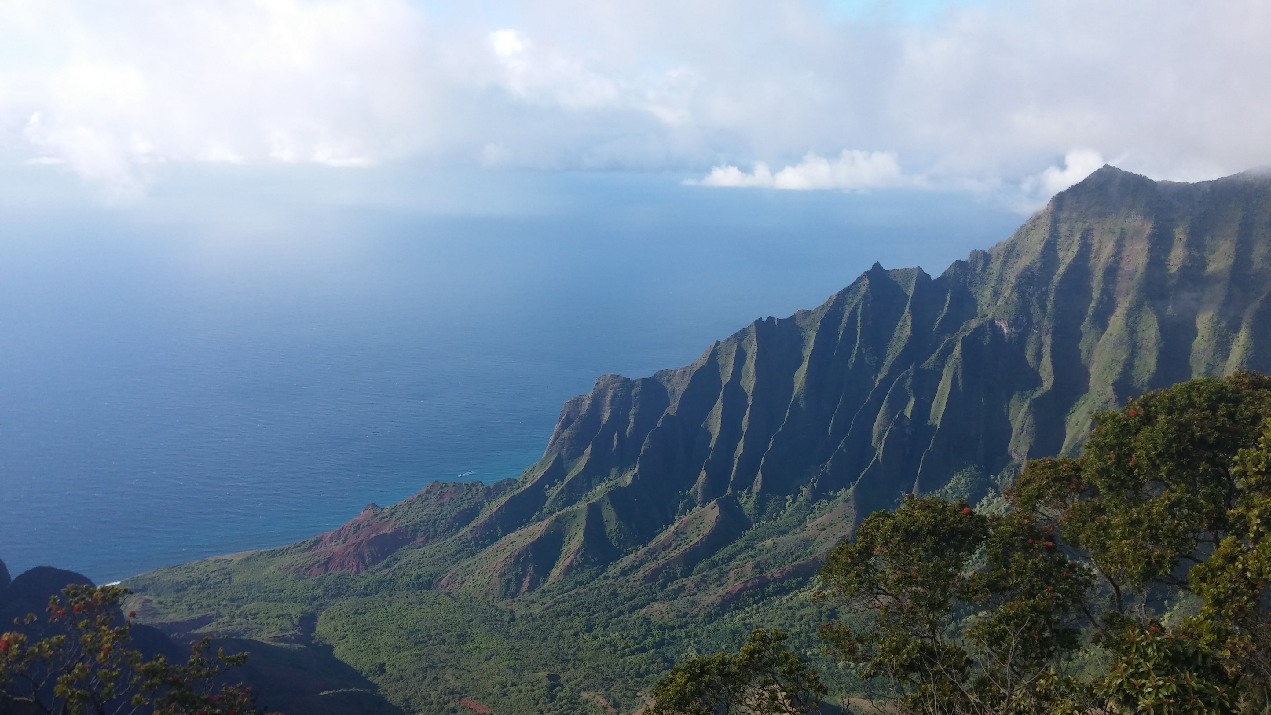 horizon over water, 4K, cloud - sky, tree, beauty in nature, hawaii, scenics - nature, non-urban scene, plant, sea, nature, outdoors, sky, day, water, HD Wallpaper