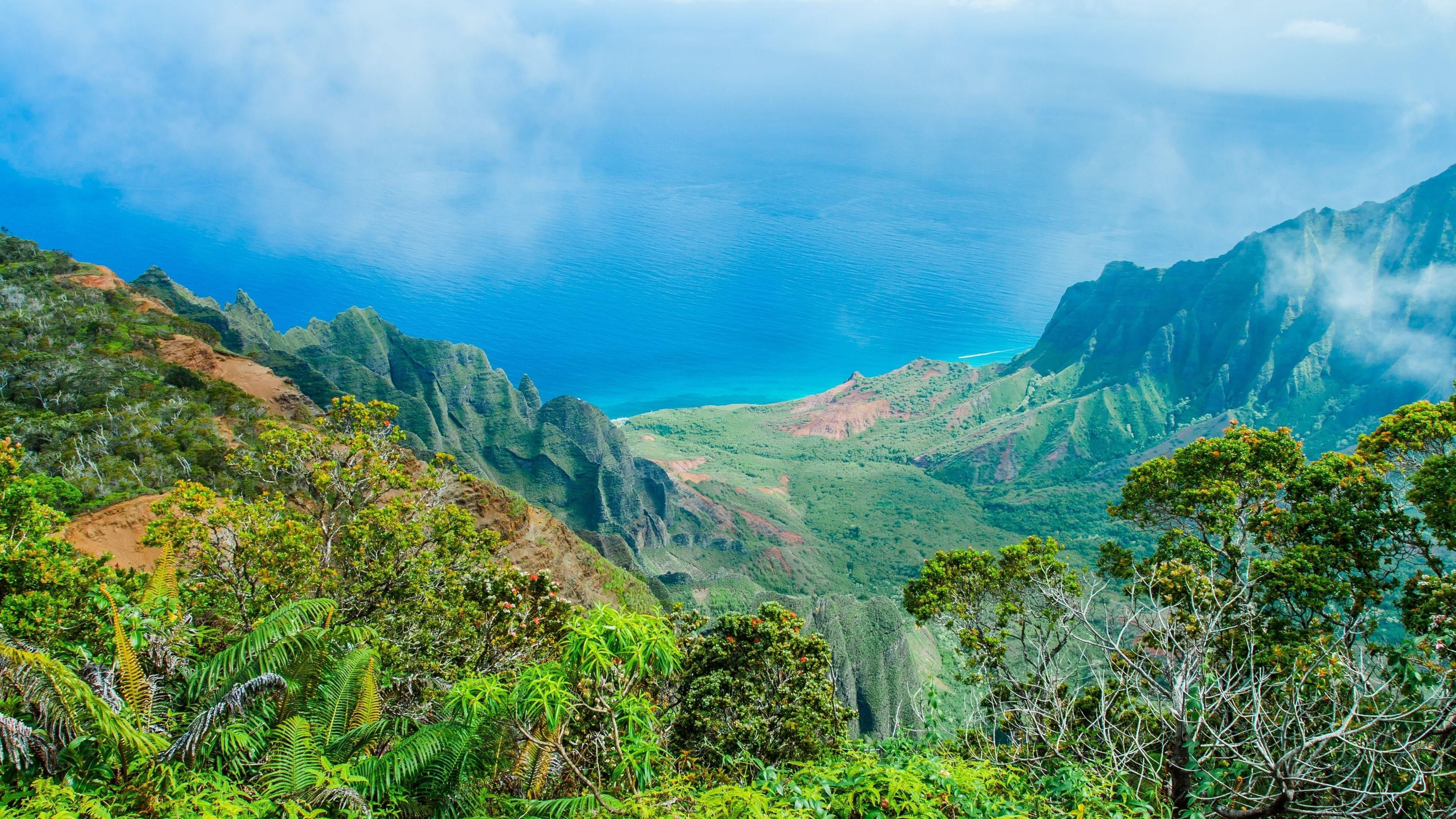 4K, kauai, trees, leaf, tropical, wilderness, sky, nature reserve, nature, jungle, mount scenery, kalalau, highland, forest, exotic, mountain, hawaii, HD Wallpaper